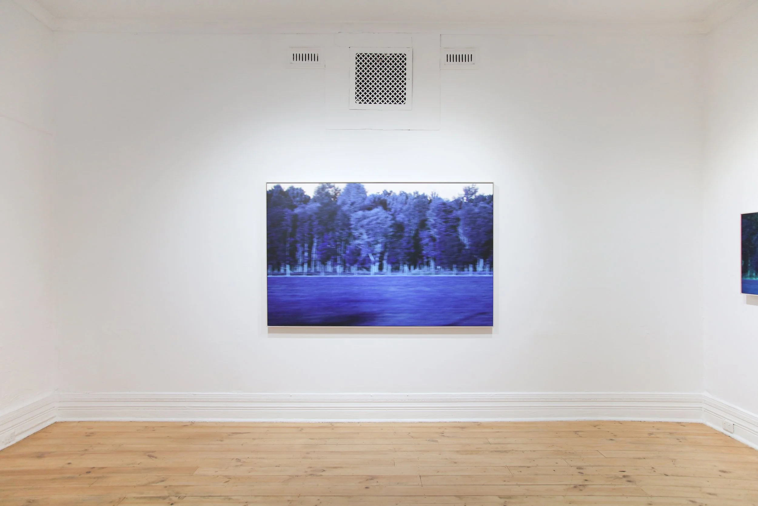 Anita Modok_install_1.JPG