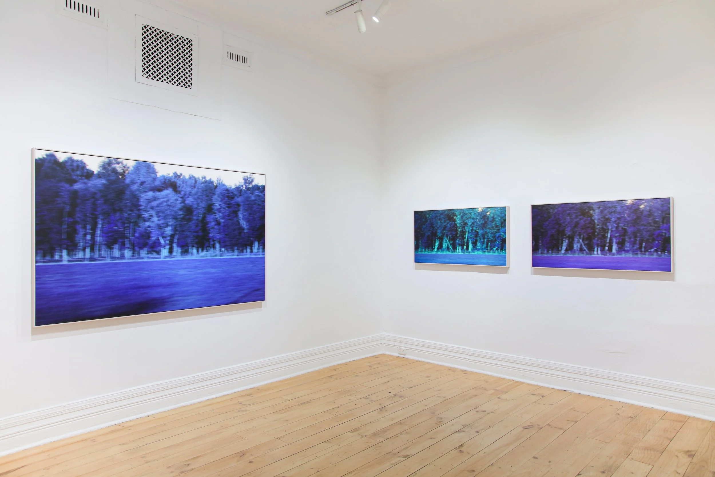 Anita Modok_install_2.JPG