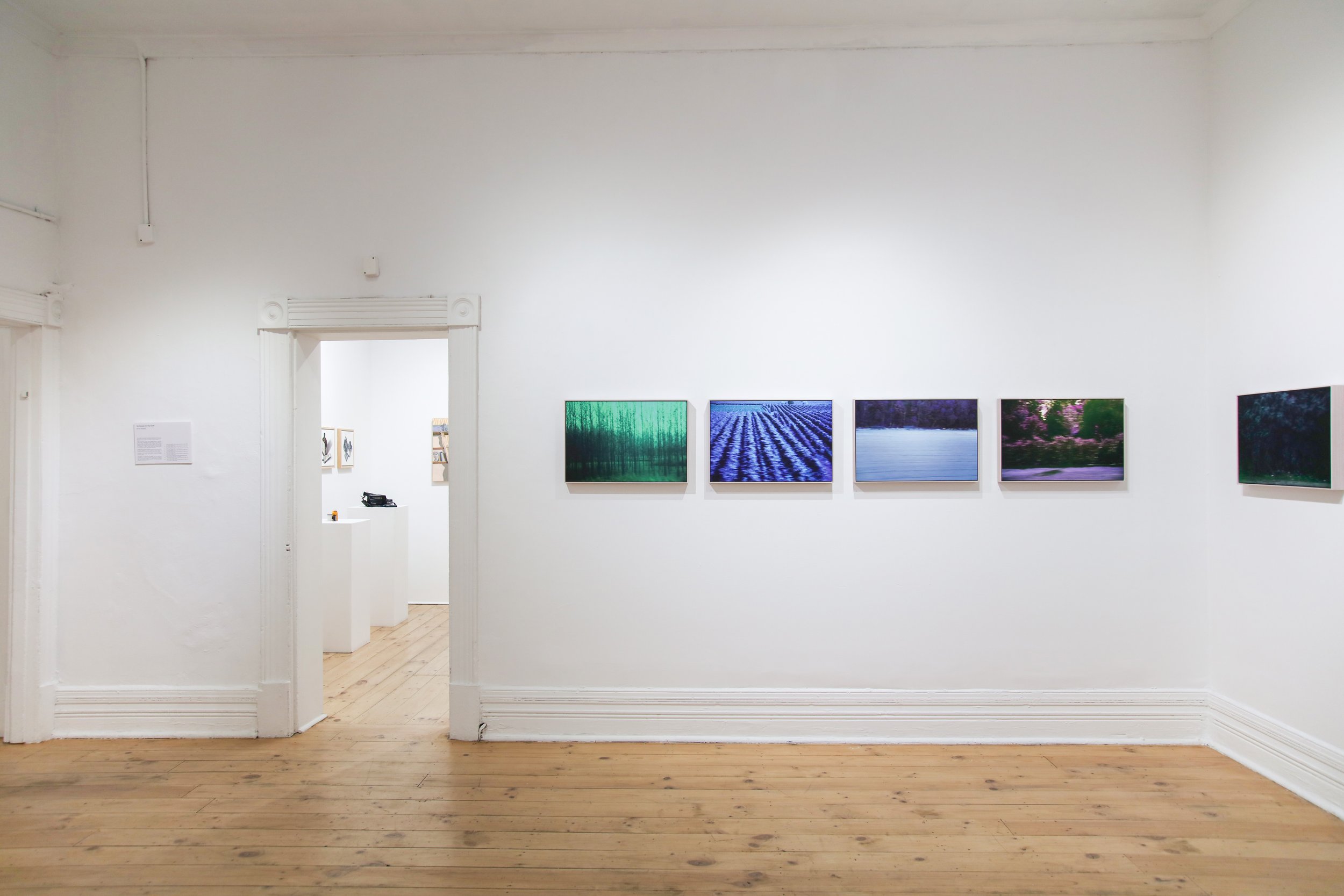 Anita Modok_install_3.JPG