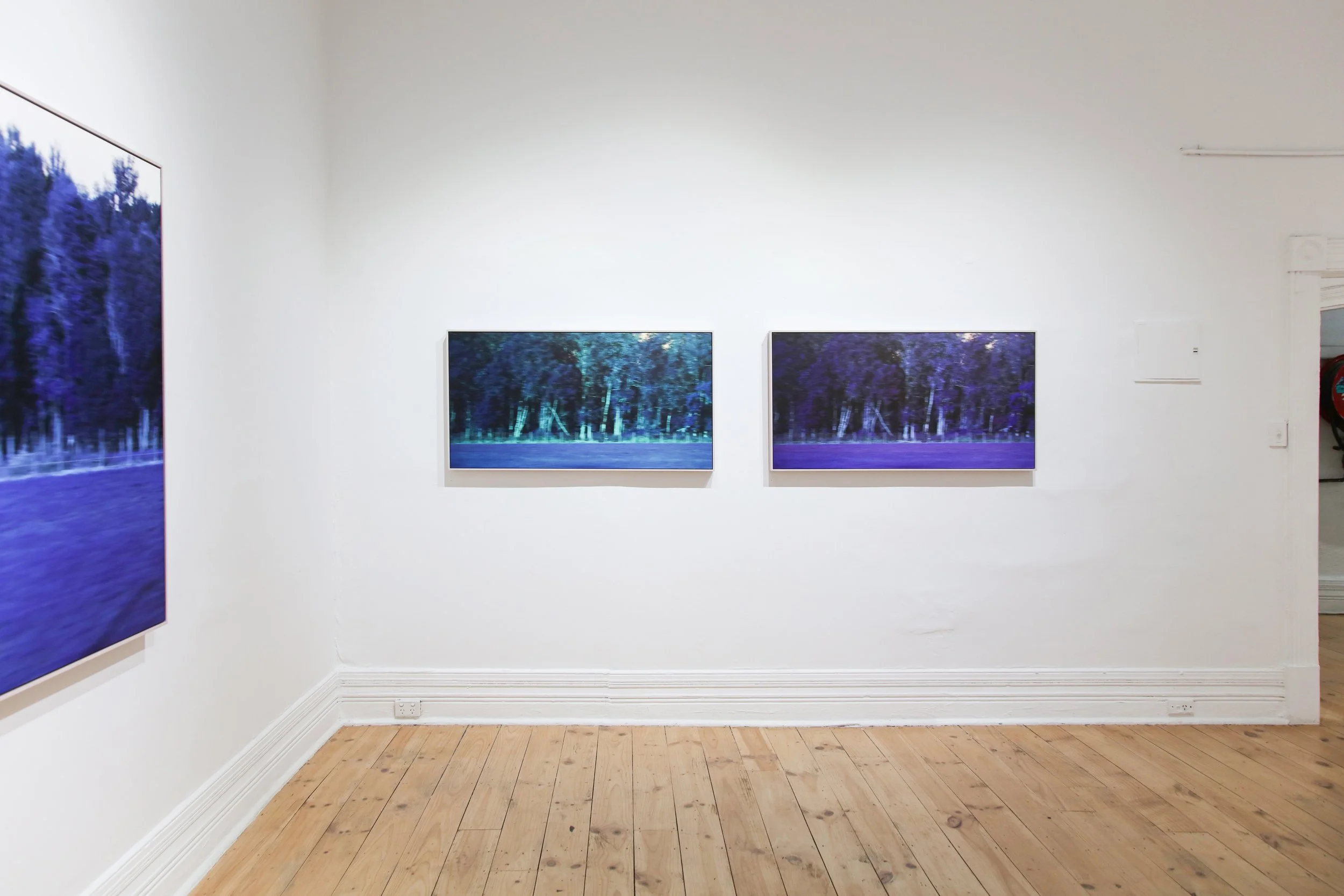 Anita Modok_install_4.JPG