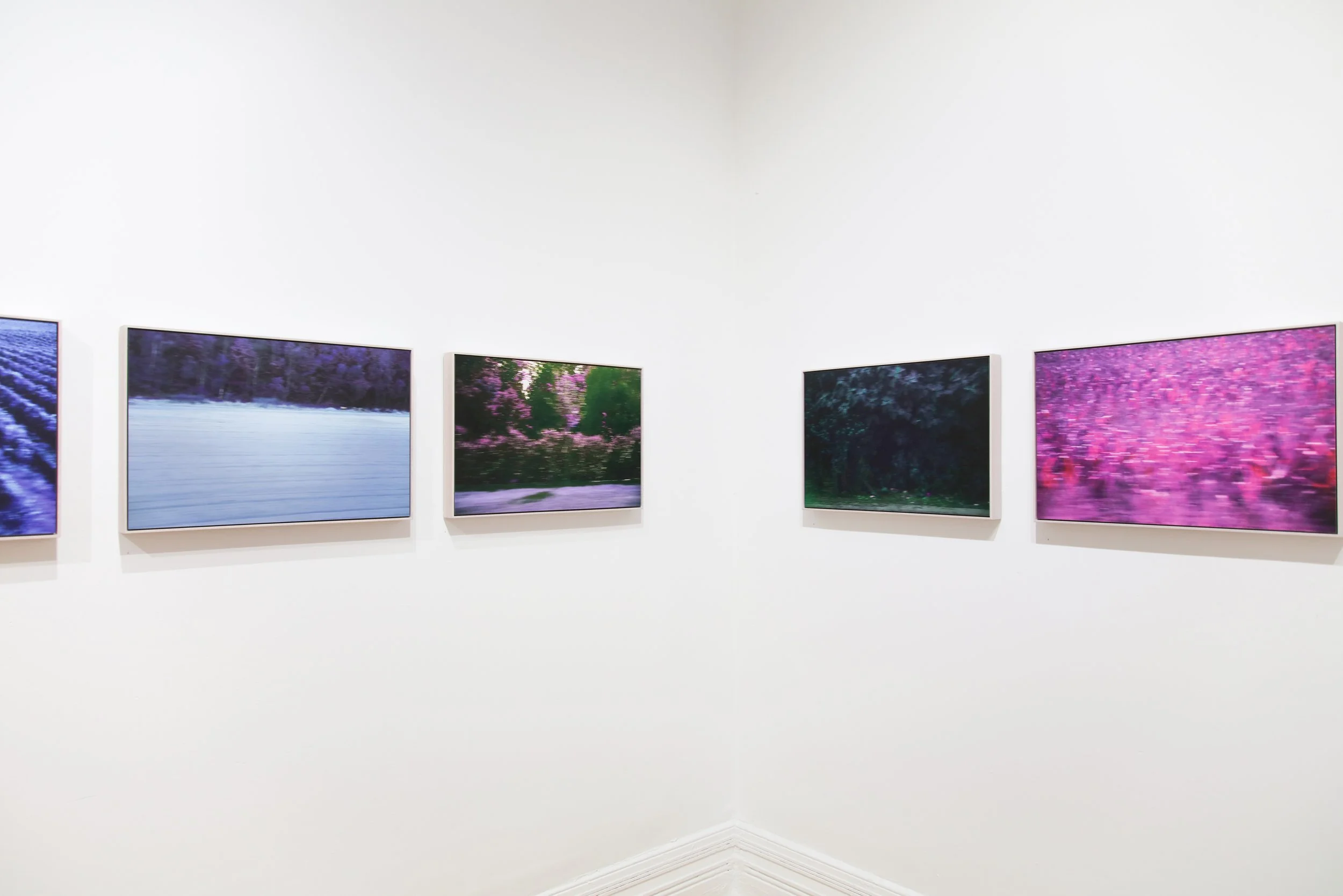 Anita Modok_install_5.JPG