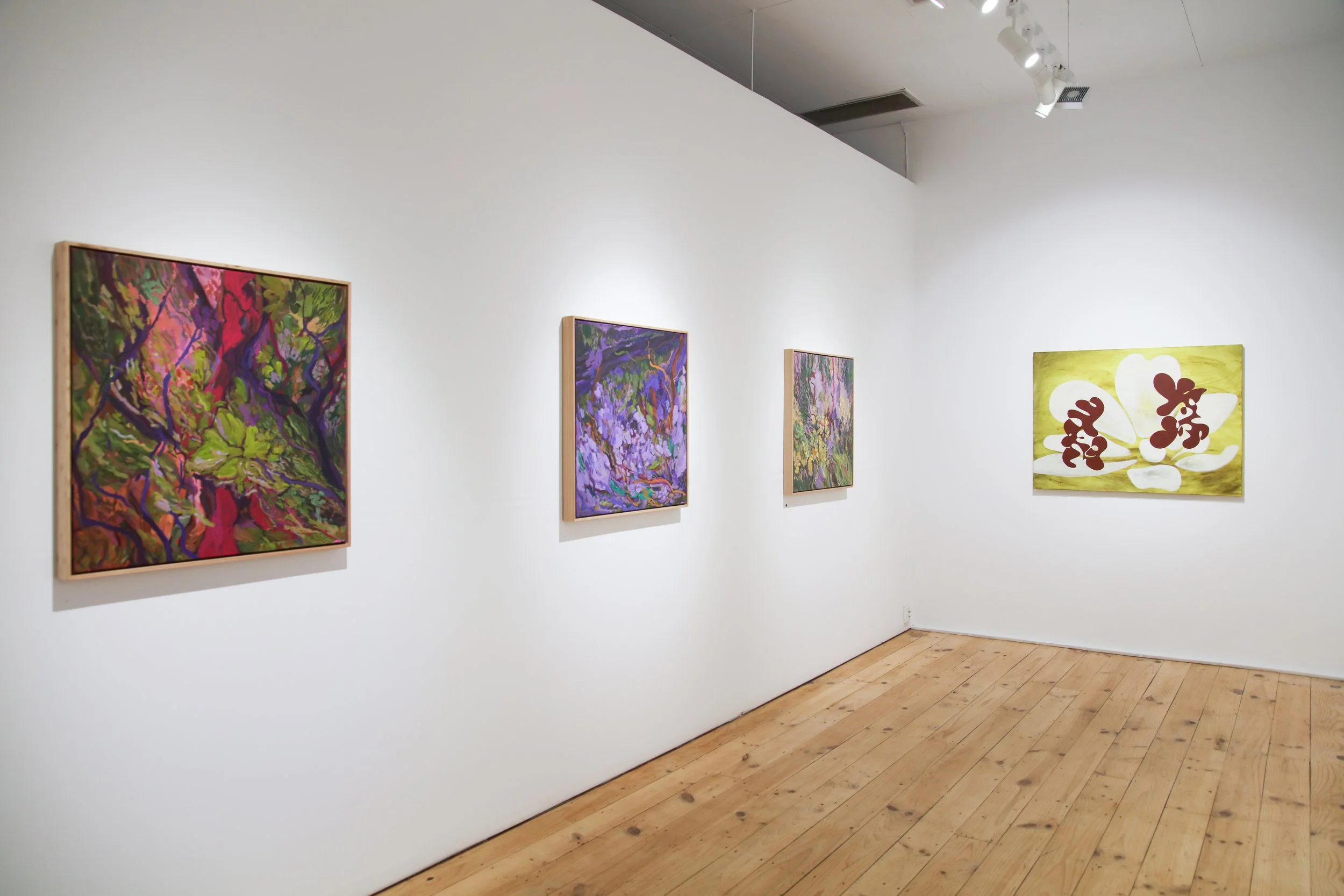 Pulling Shapes_install_8.JPG