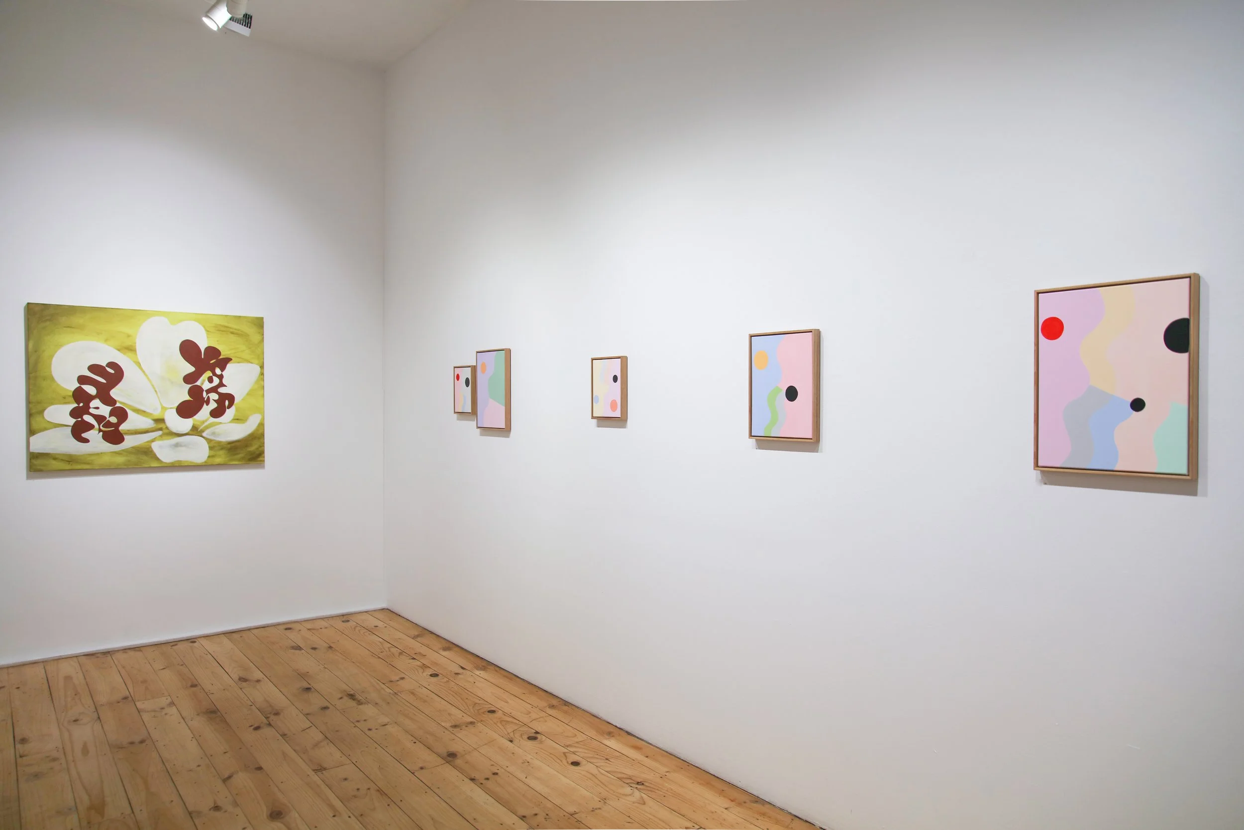 Pulling Shapes_install_13.JPG