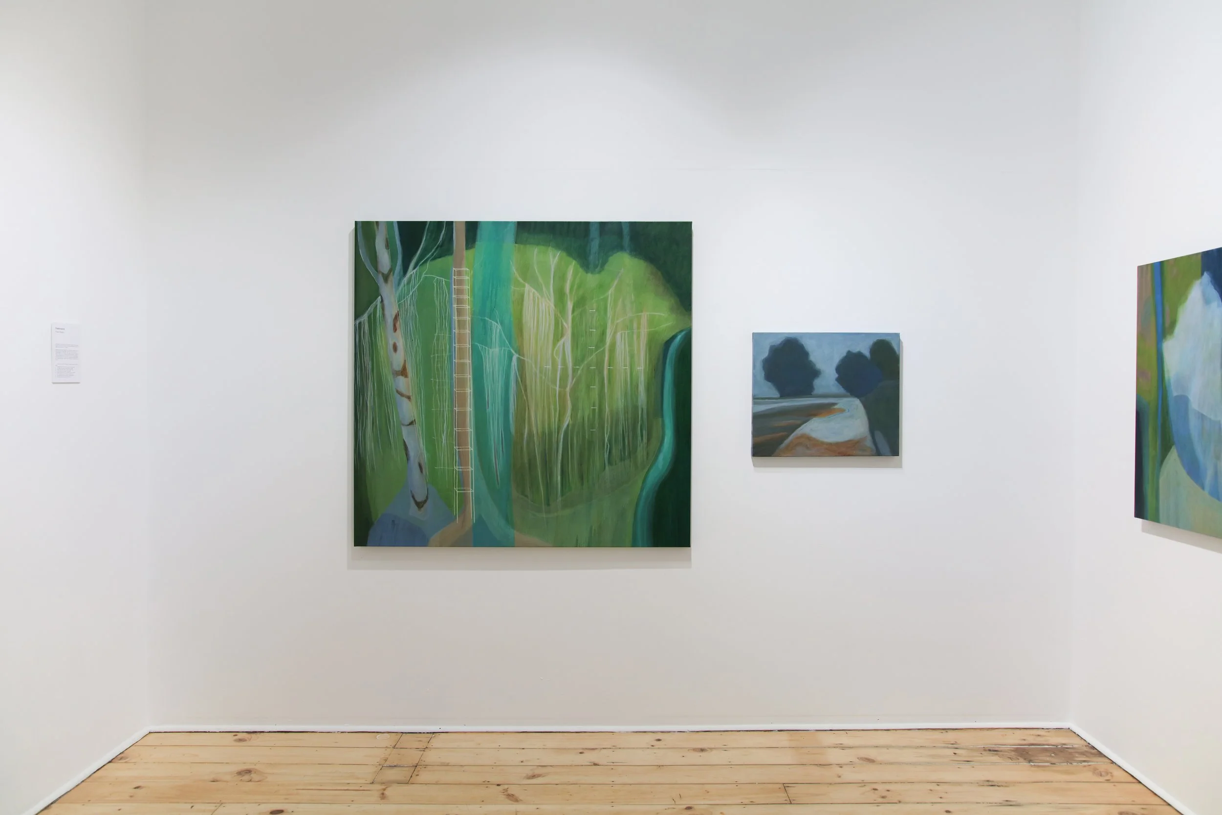 Paula Payne_install_2.JPG