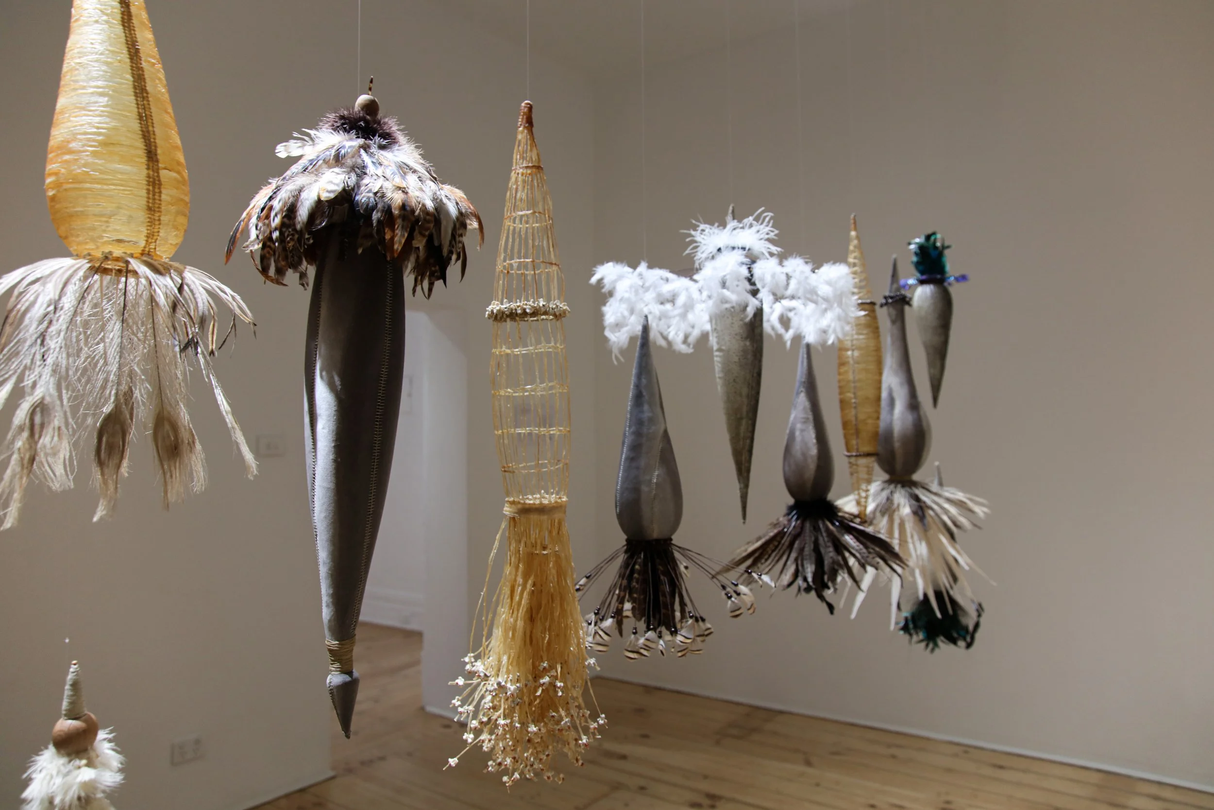 Dana Falcini_install_4.JPG