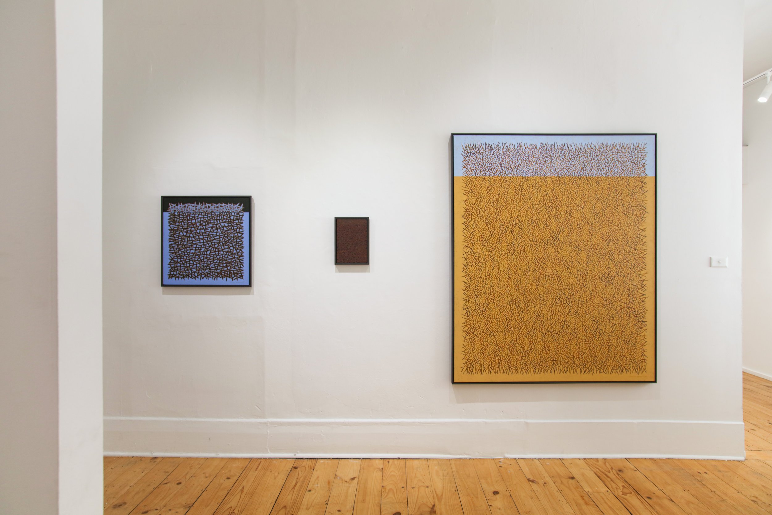Joshua de Gruchy_install_3.JPG