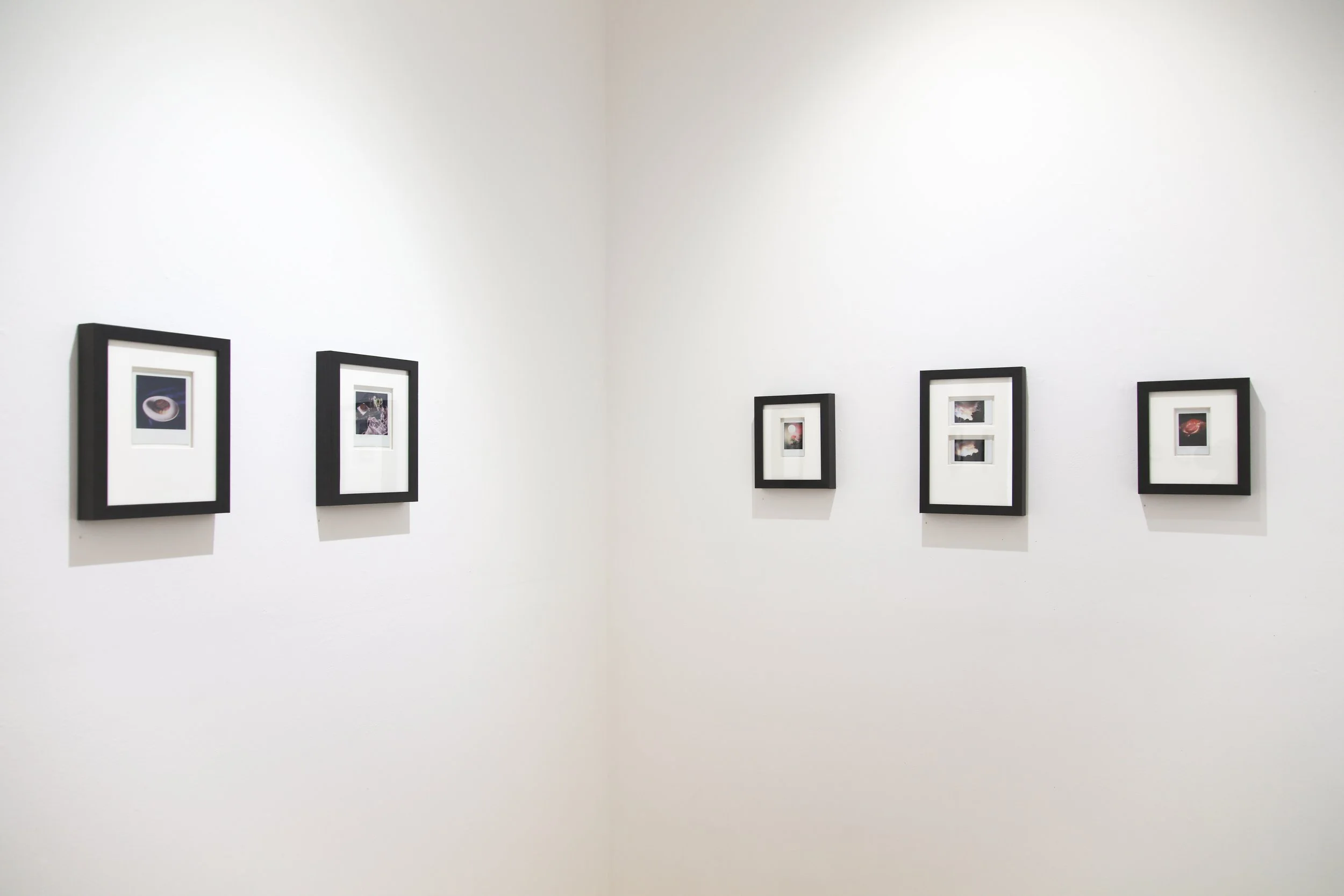 Caroline Esbenshade_install_3.JPG