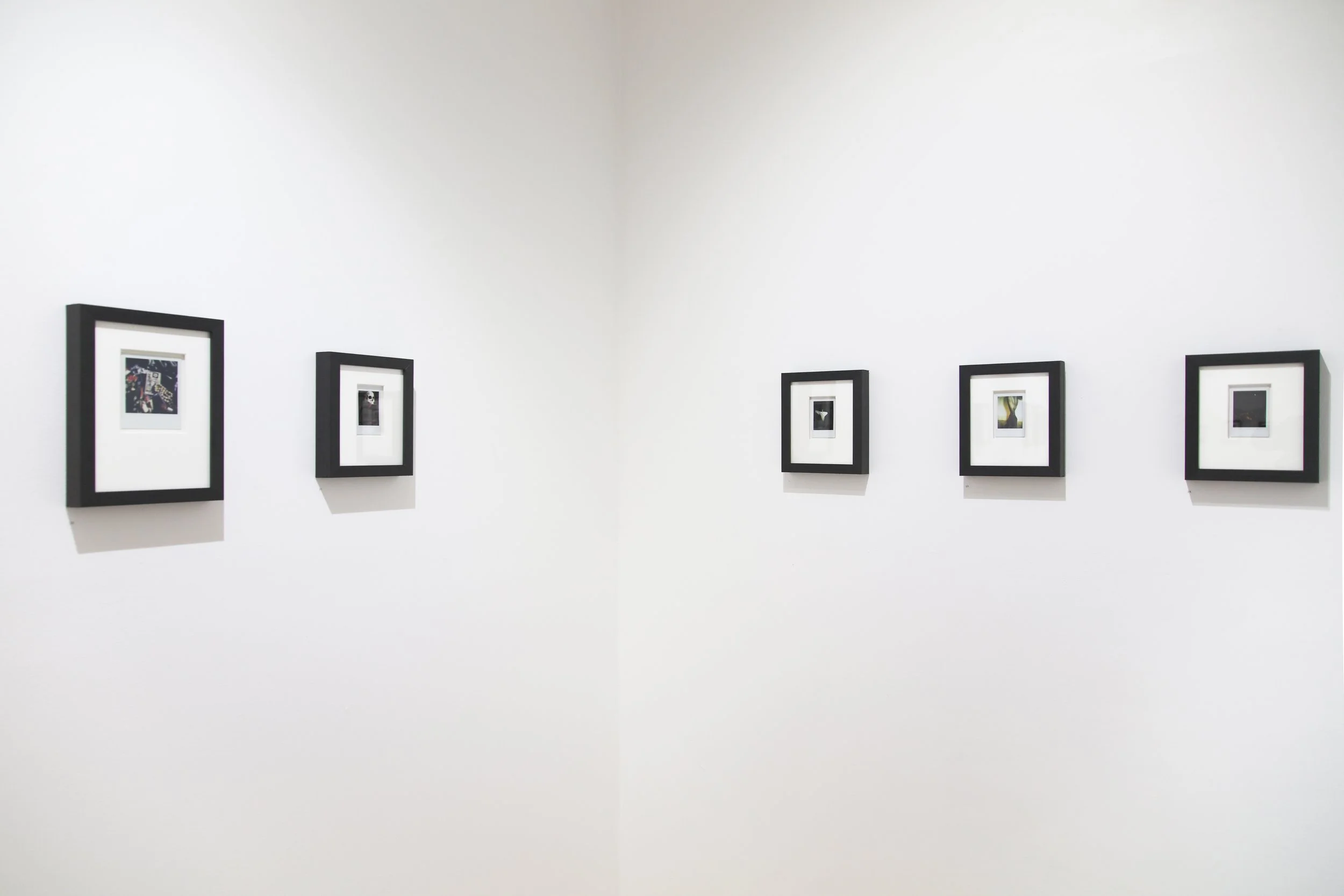 Caroline Esbenshade_install_1.JPG
