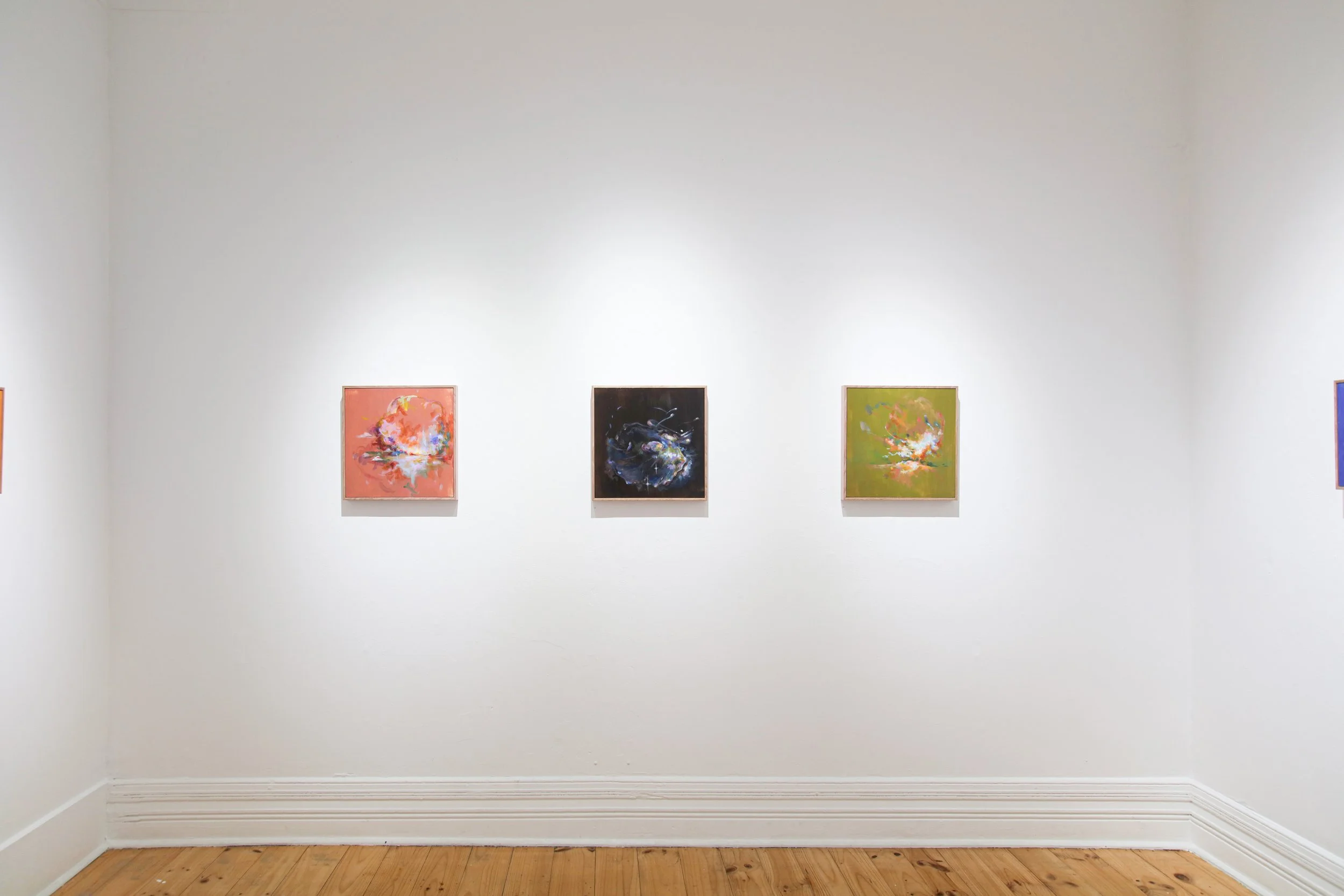 Ella Thrupp_install_2.JPG