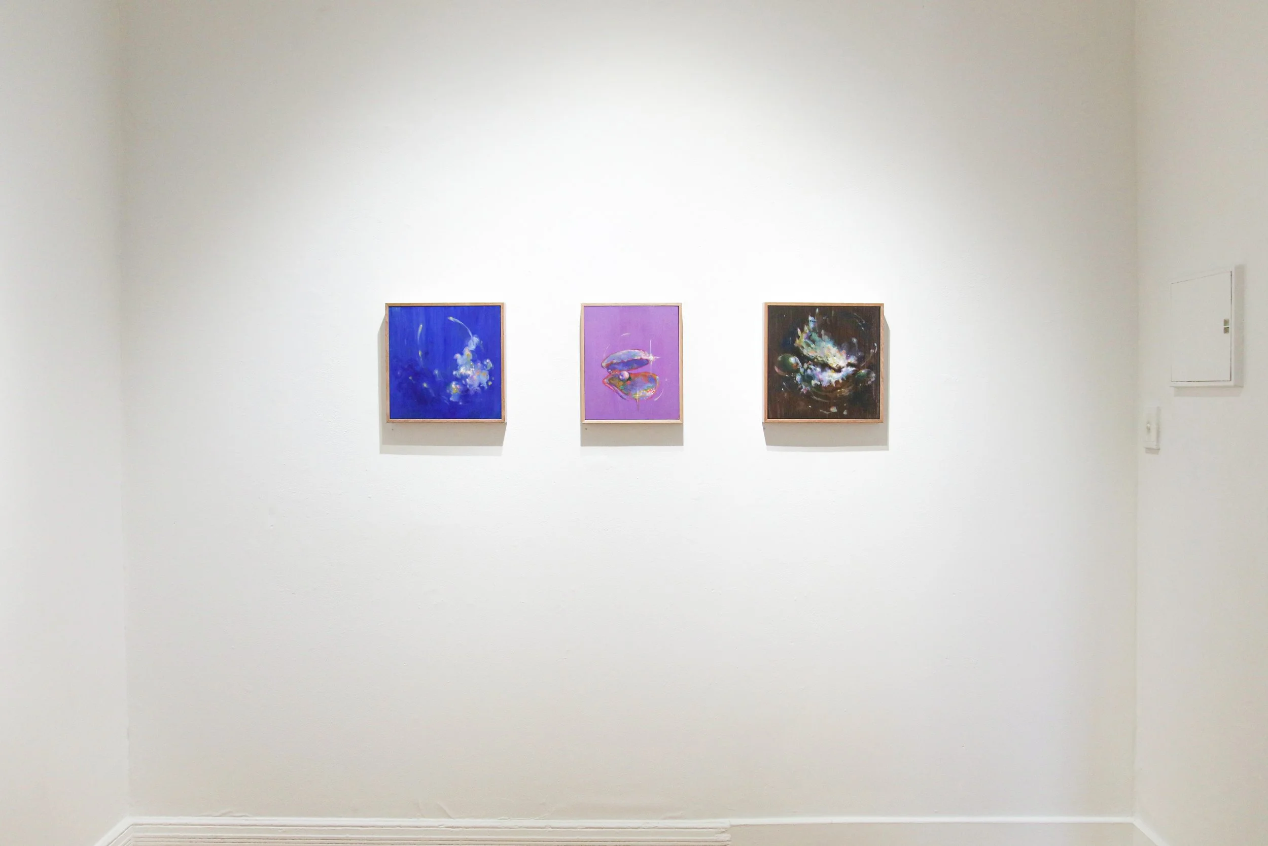 Ella Thrupp_install_3.JPG