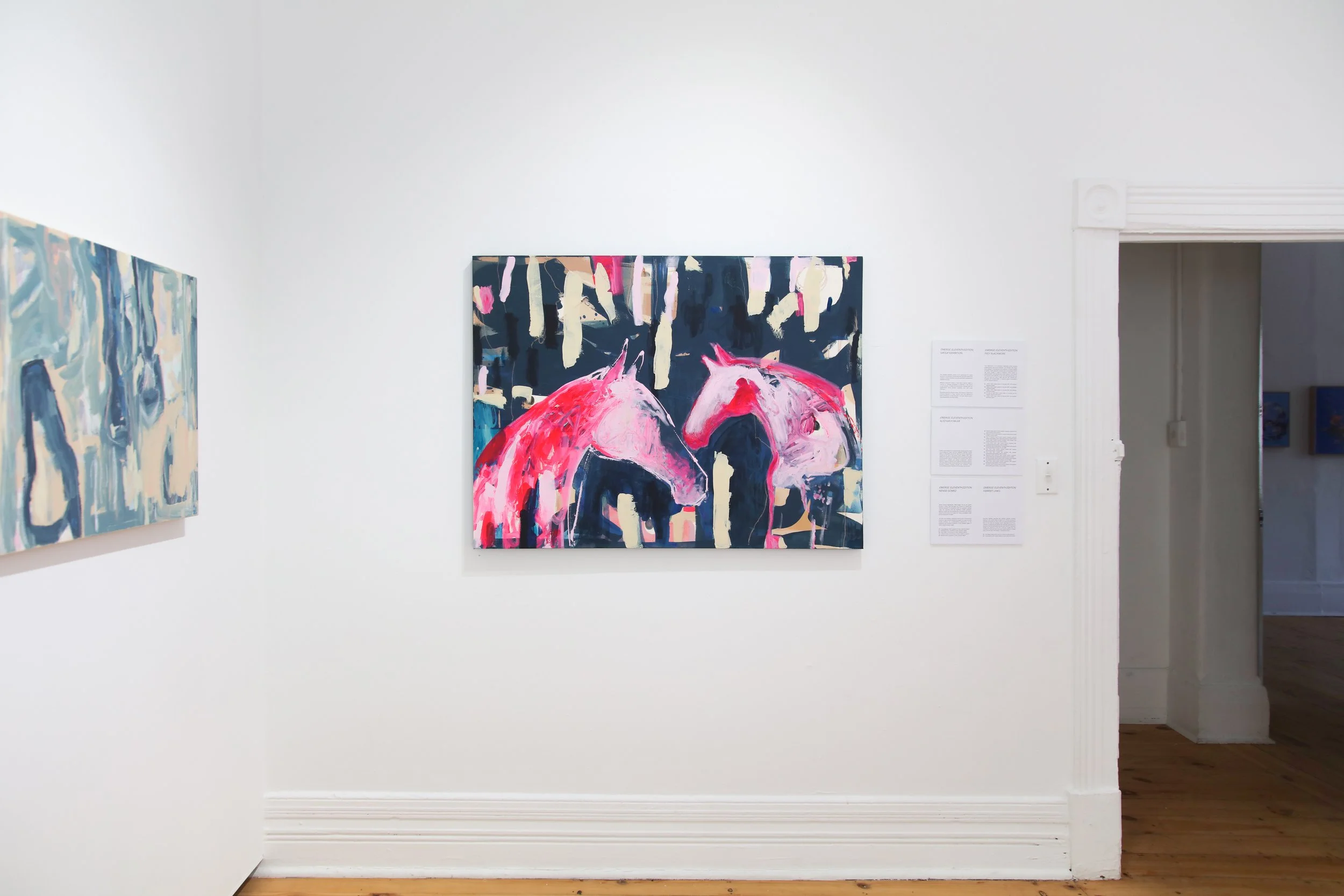 Emerge11_install_2.JPG