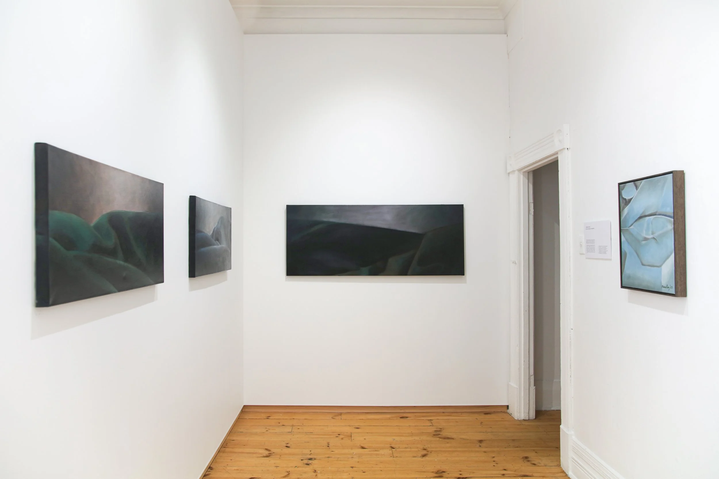 Nicola Heasley Dawborn_install_2.JPG