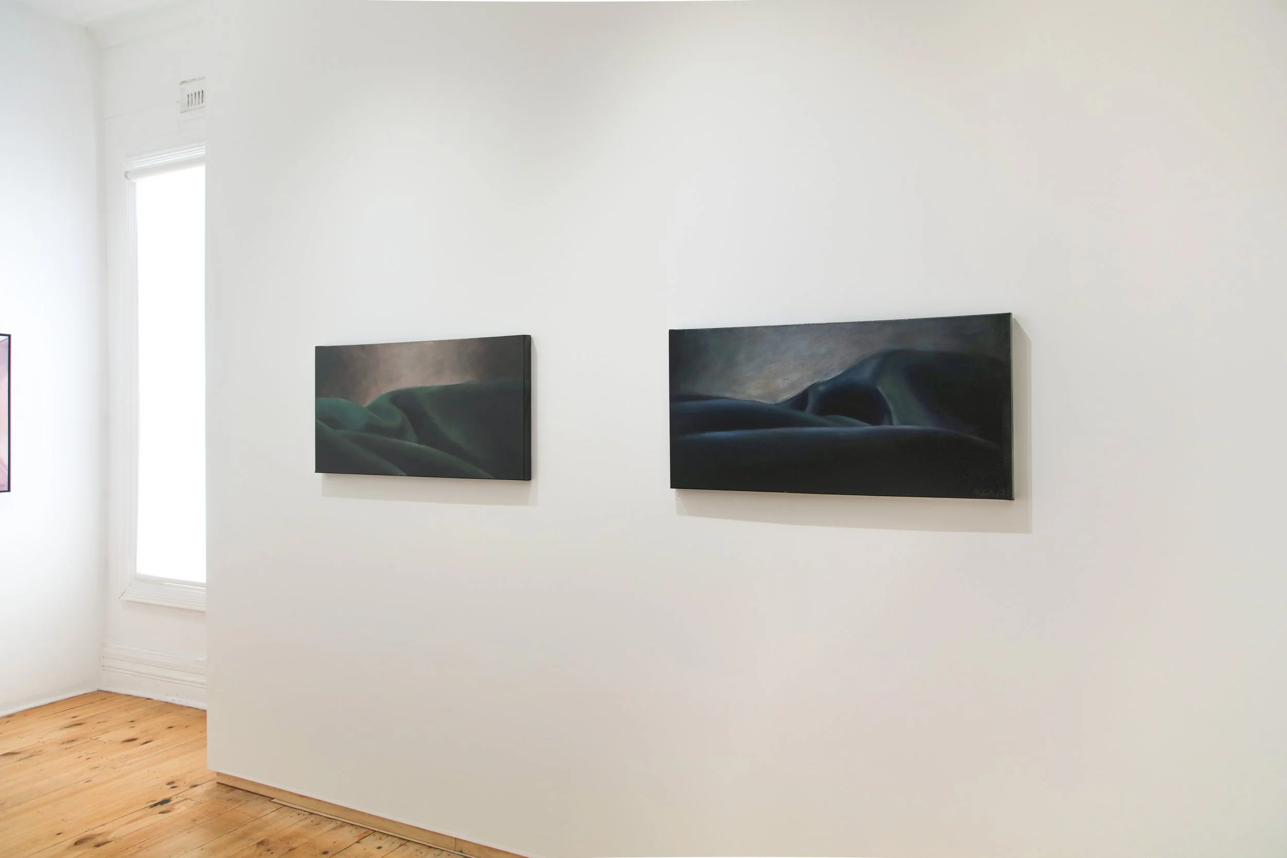 Nicola Heasley Dawborn_install_3.JPG