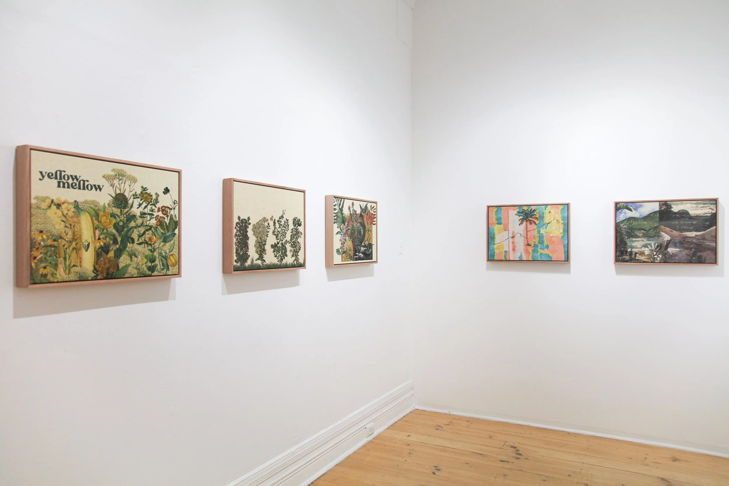 Jessica Sonnenberg_install_1.JPG