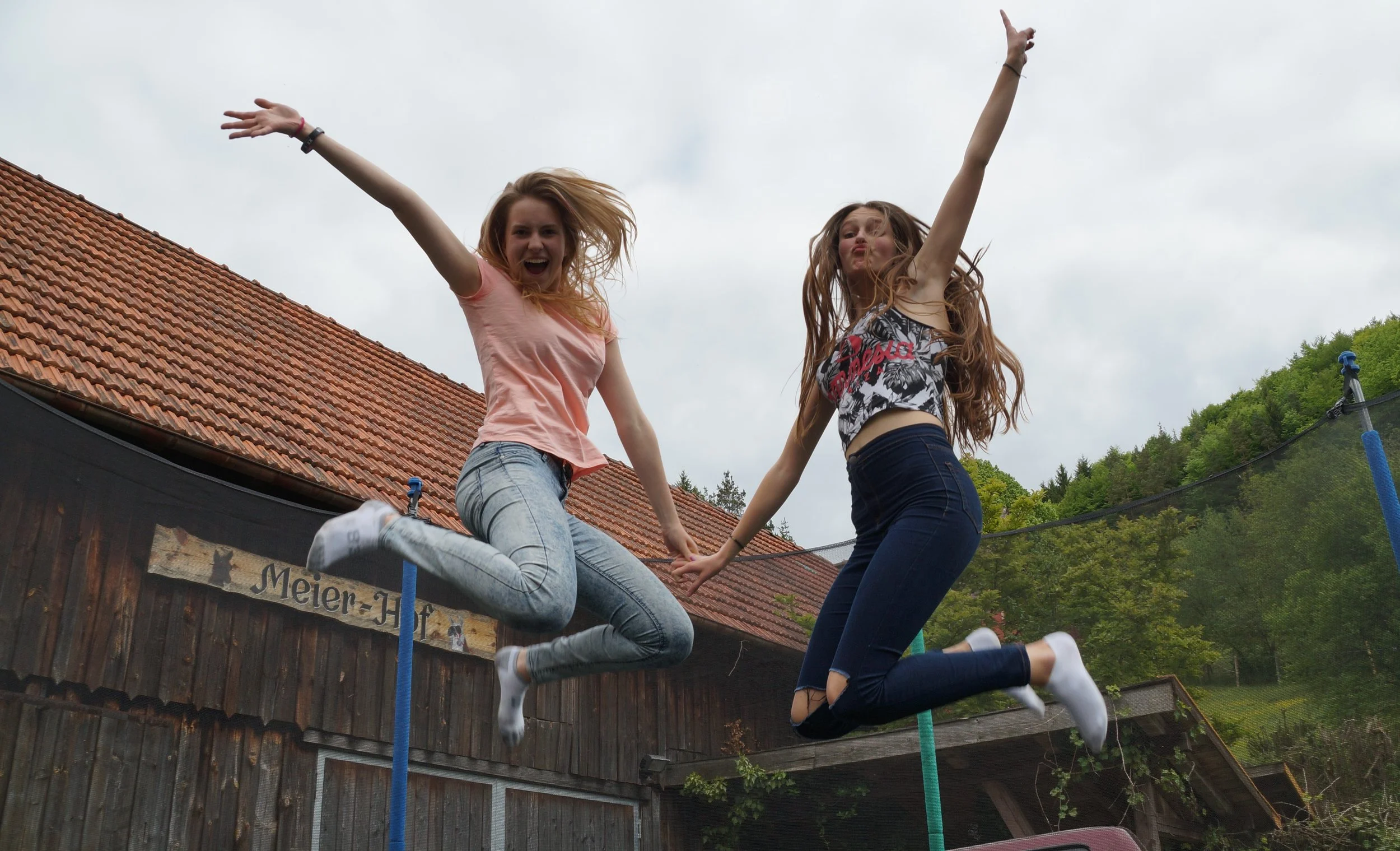 „Luftsprünge und Freudentänze“ mit Iris de Boor  Einführungsseminar online 