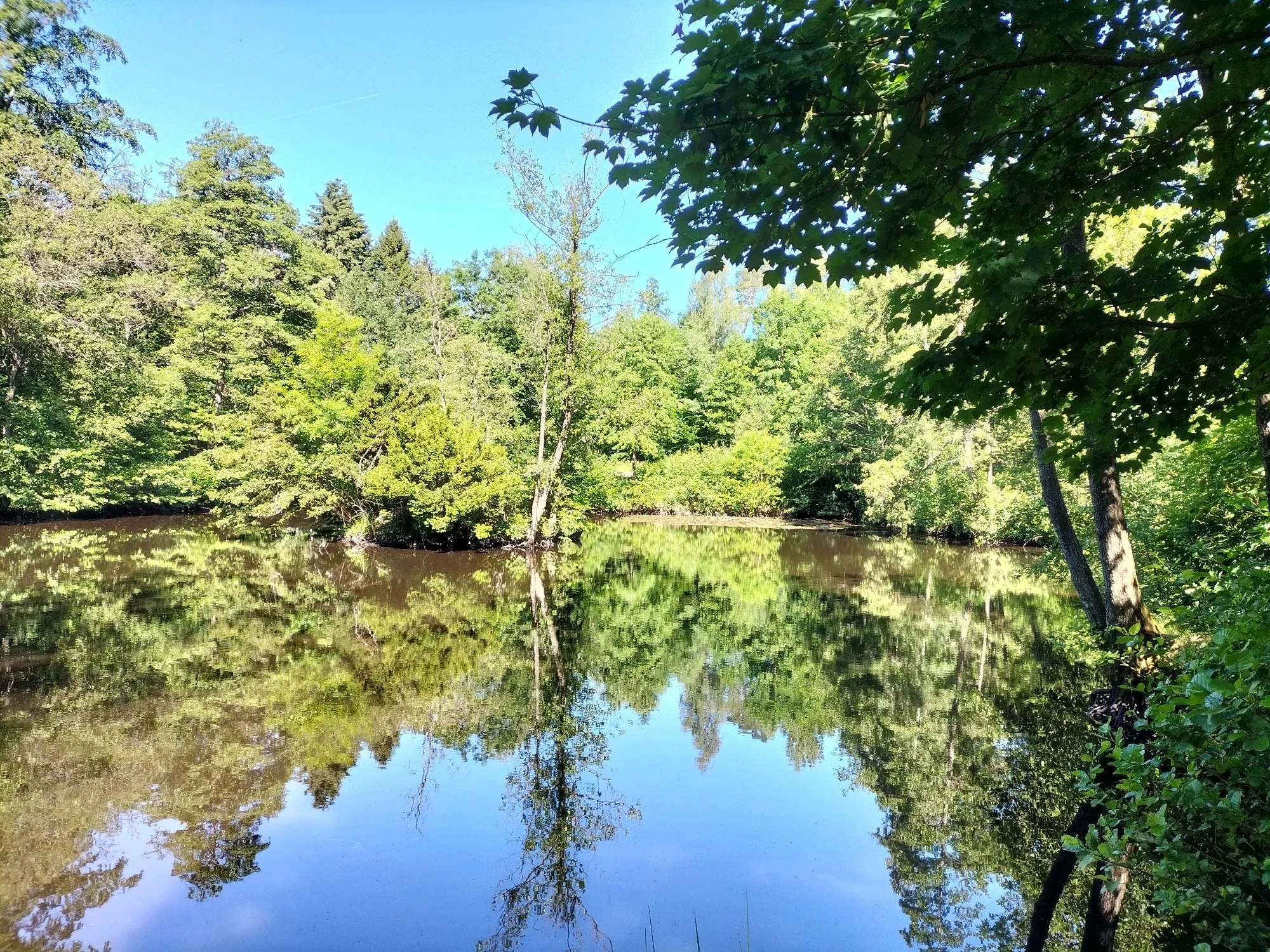 Wurzeln und Flügel - Tamalpa Life/Art Process®