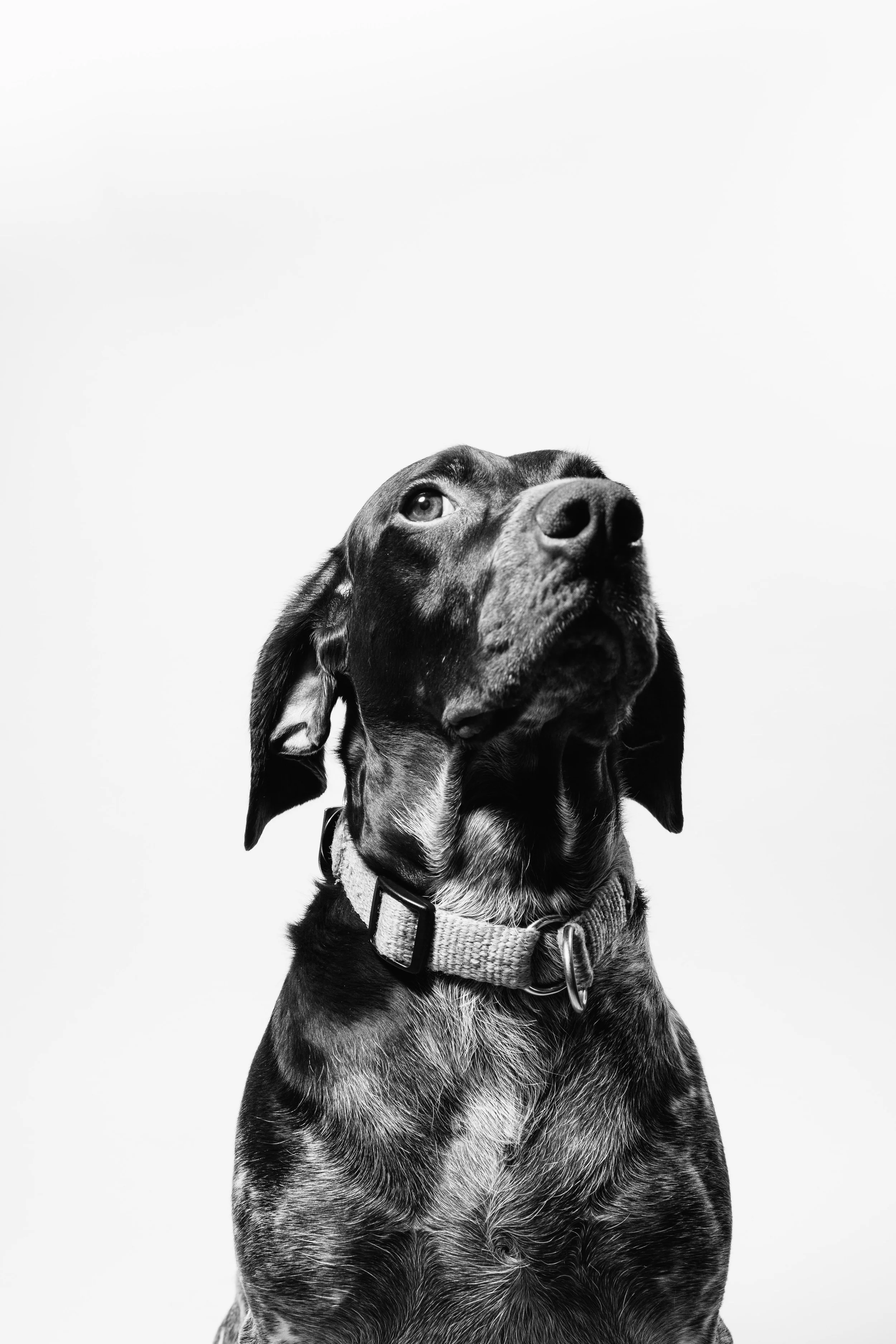 fabian-gieske-1267448-unsplash.jpg