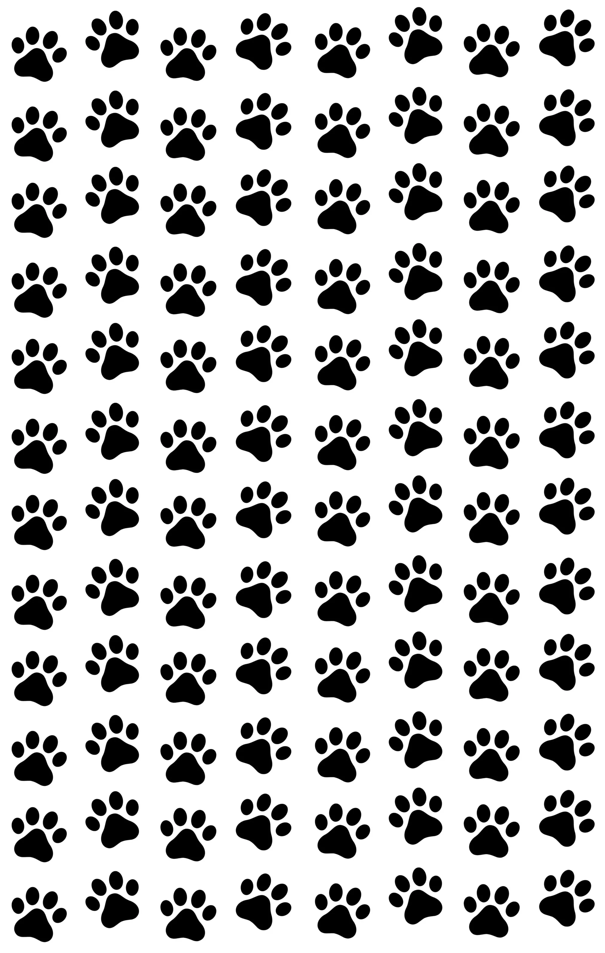 paws1.jpg