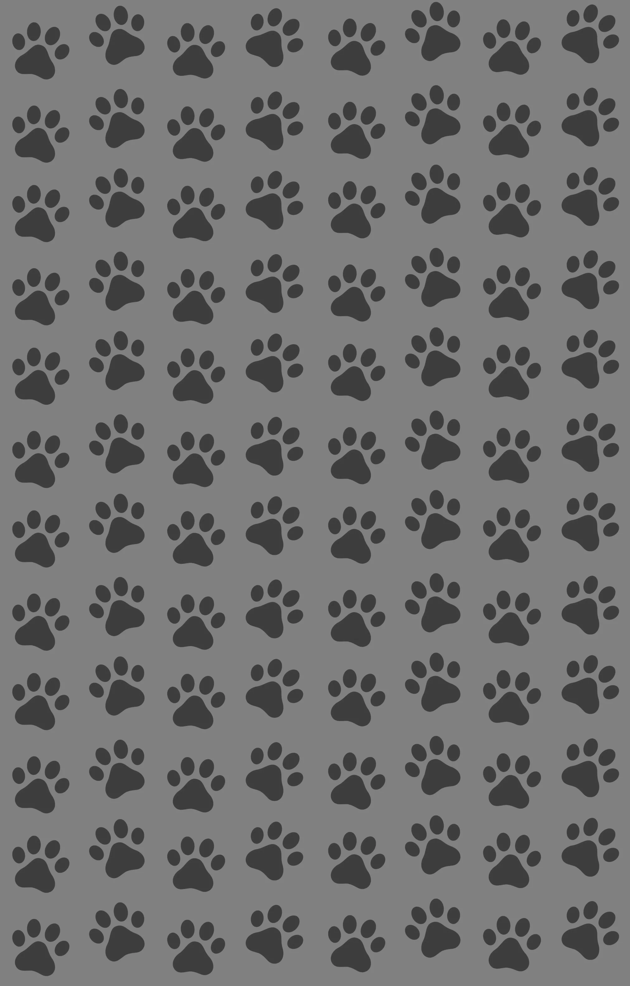 paws1.jpg