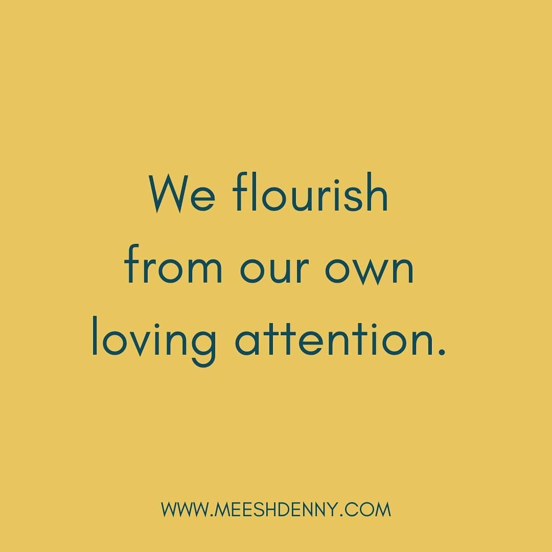 There's a part of our brain that literally shuts down when we go into shame or self-loathing.

This changes when we express self love and compassion.

I'm amazed at how often, as humans, we default into self criticism when things feel sticky

Instead