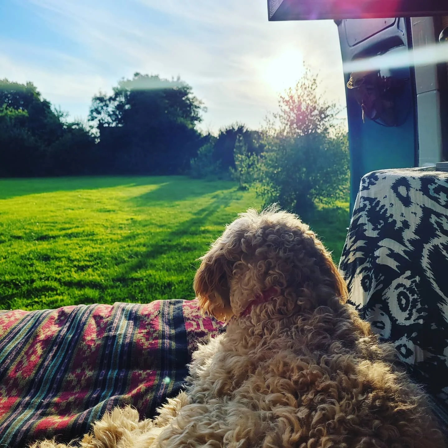 It was my 39th birthday last week. 

I don't really have anything profound to say this year. 

I've been roaming in my van with my fur babe, sitting in all kinds of curiosities, creating space for what feels like new found doorways, to reveal themsel