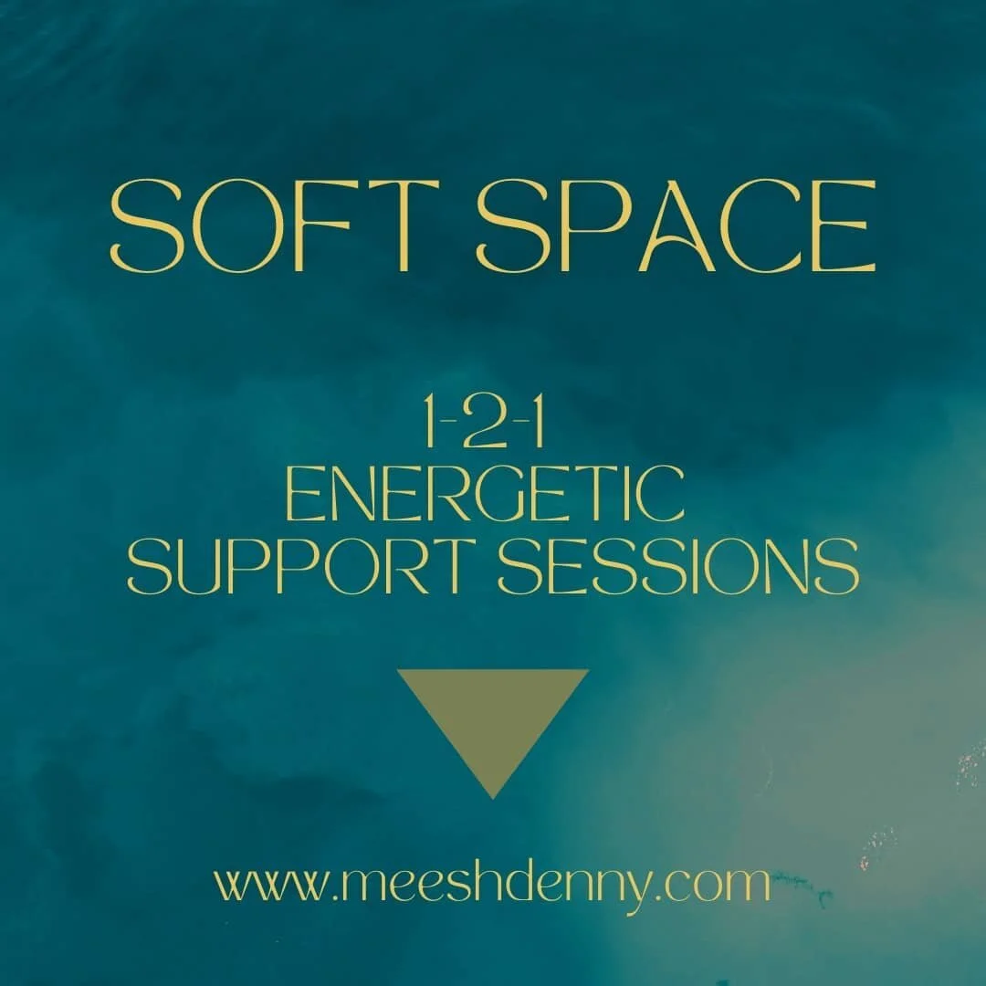 MY PERPETUAL SEARCH FOR SOLUTION COST ME YEARS
&nbsp;
As Heart- Centered practitioners and guides, we've often found our way to our work through choosing the path of healing our own battle scars.
Or perhaps the path chose us.
From this place, we can 