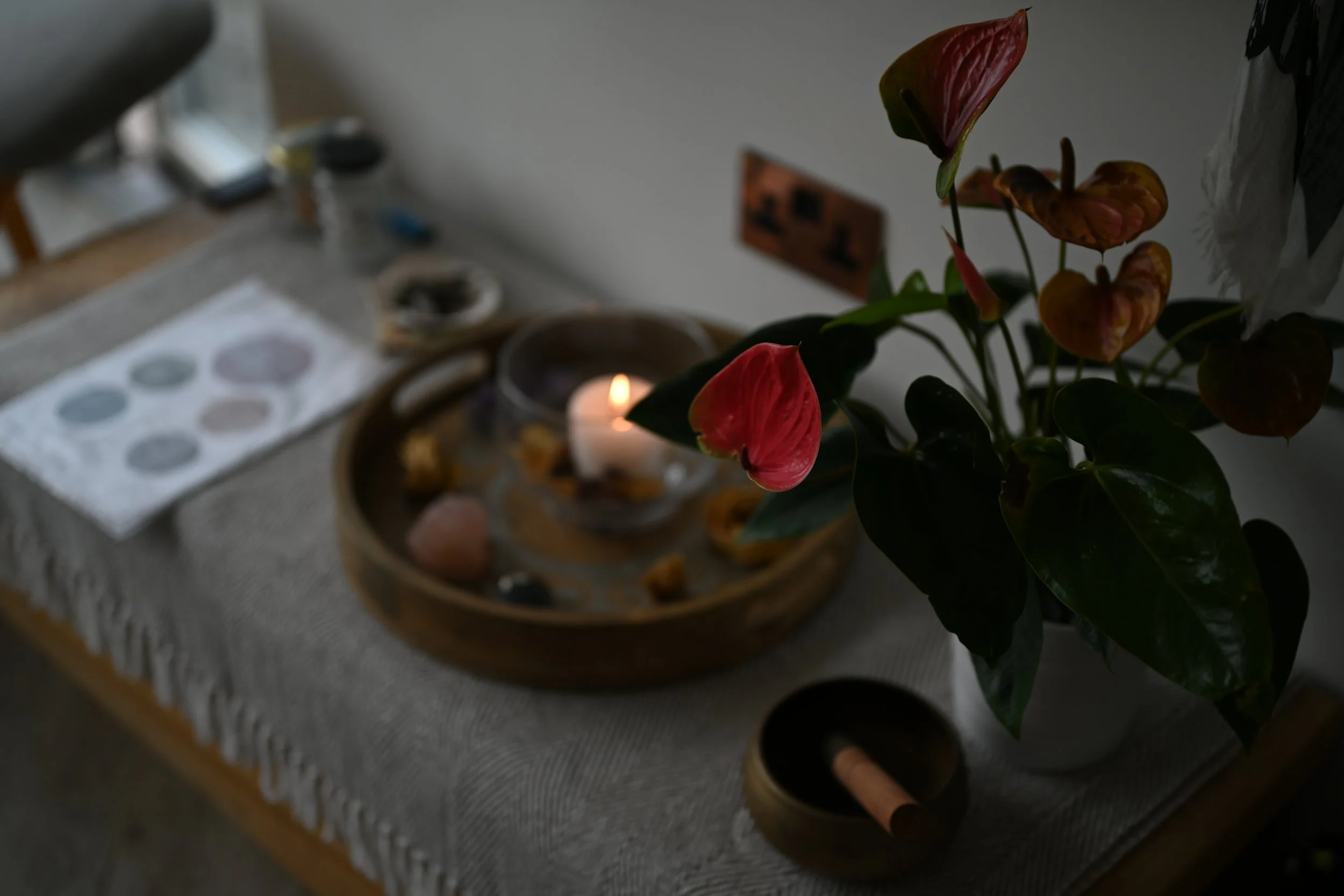 DSC_5192.JPG