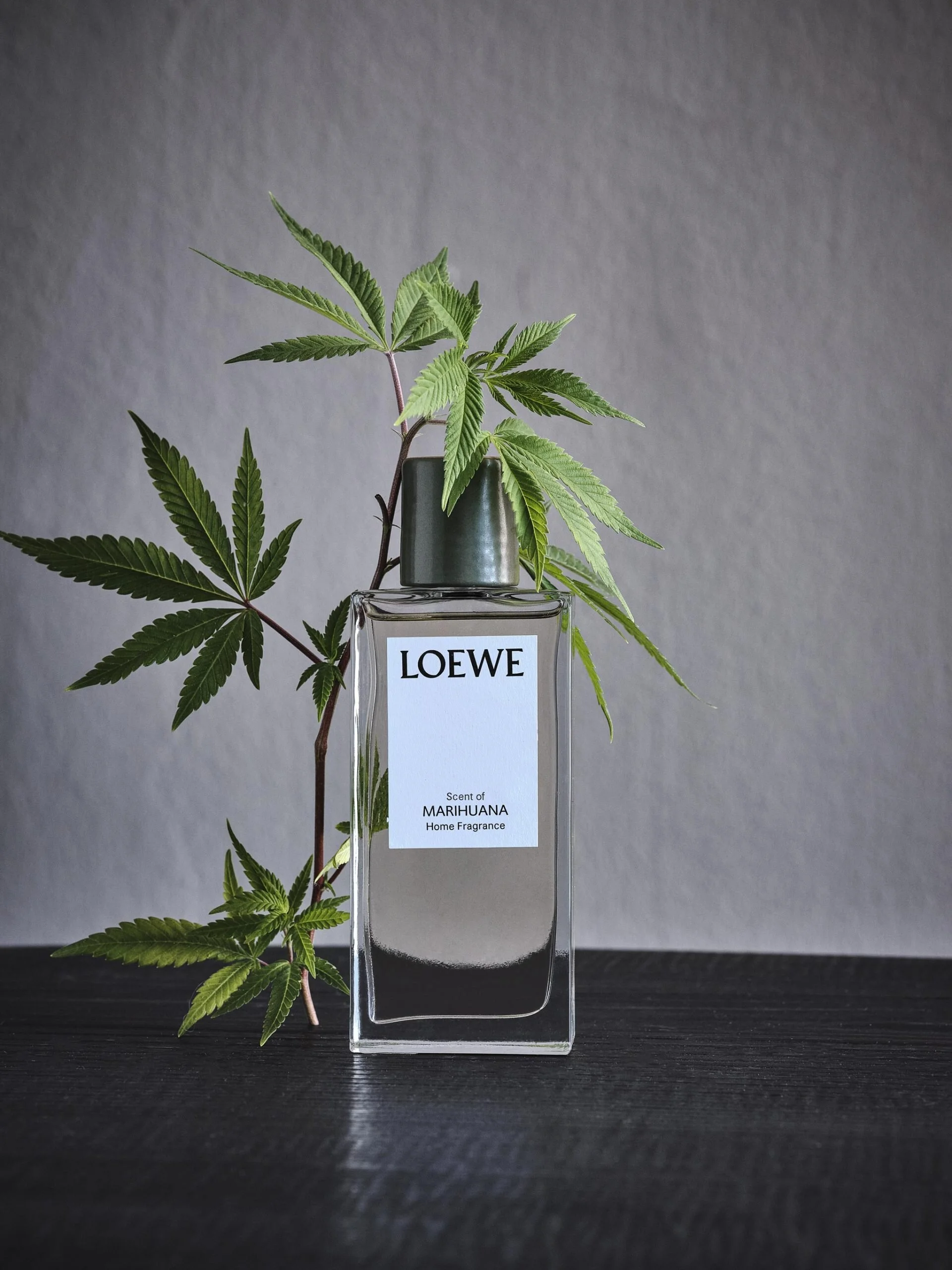 LOEWE-HOME-SCENTS-COLLECTION-2-scaled.jpg