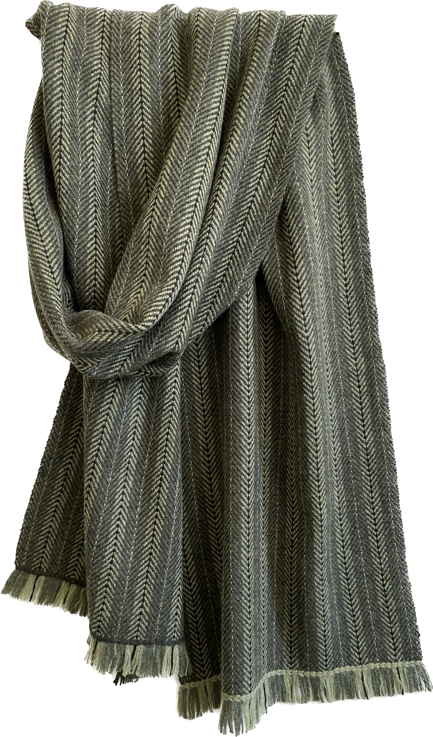 EC4AD02A-34A7-4581-8E8B-C9EAA9D778E2