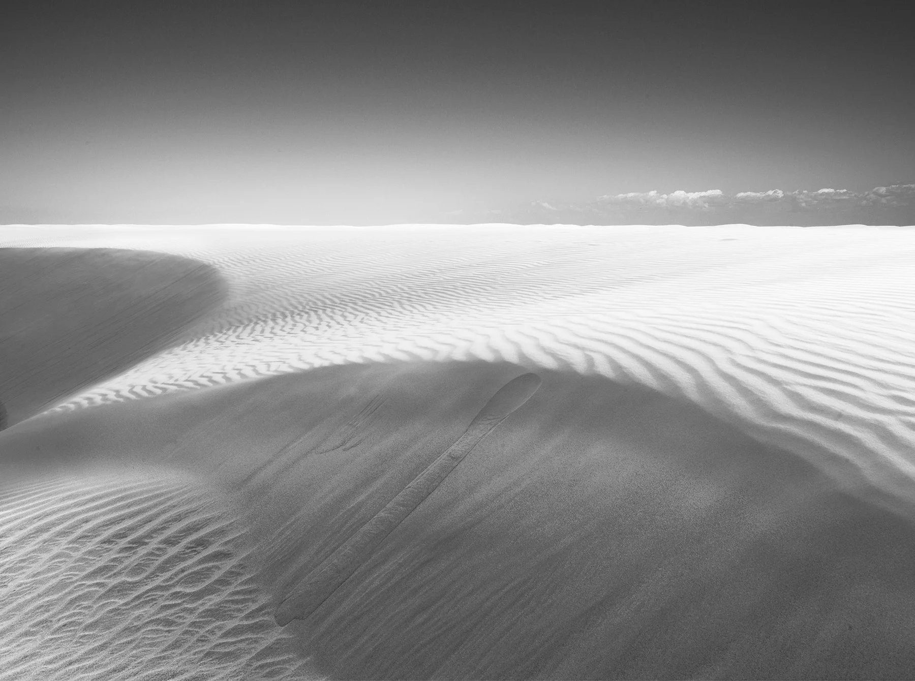 Dune-1.jpg