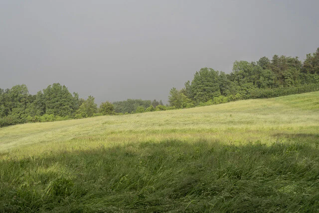 Urban street photography Toronto Southern Ontario artist photorapher Moira Ness