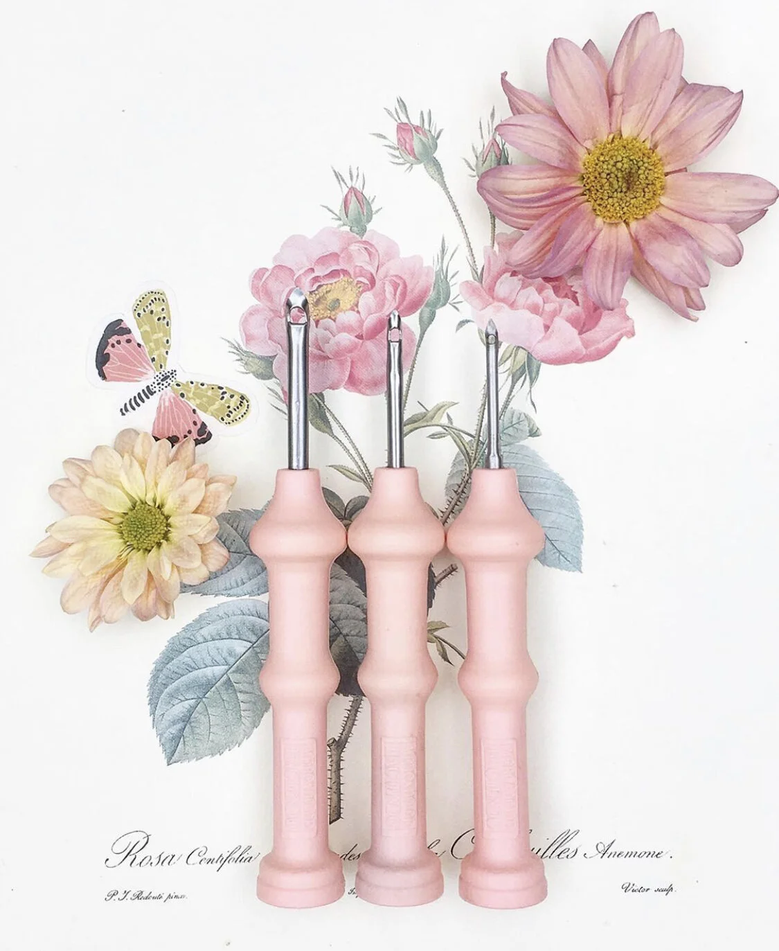 90A96279-CA3E-4772-AE01-3834C2DE8822