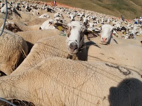 De excursión por el Pirineo con Obrador Xisqueta