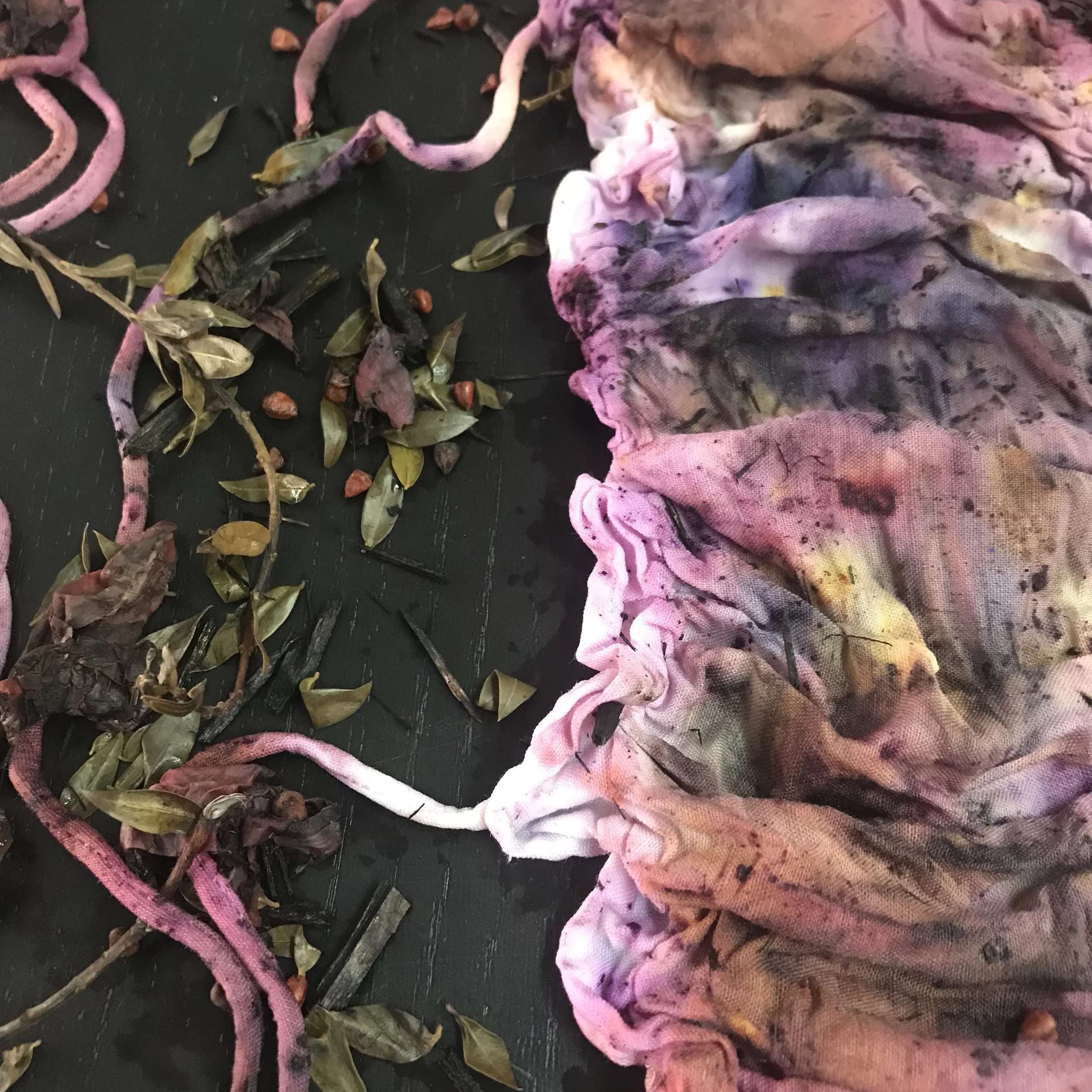 Ecoprint 004 Mardeolas.JPG