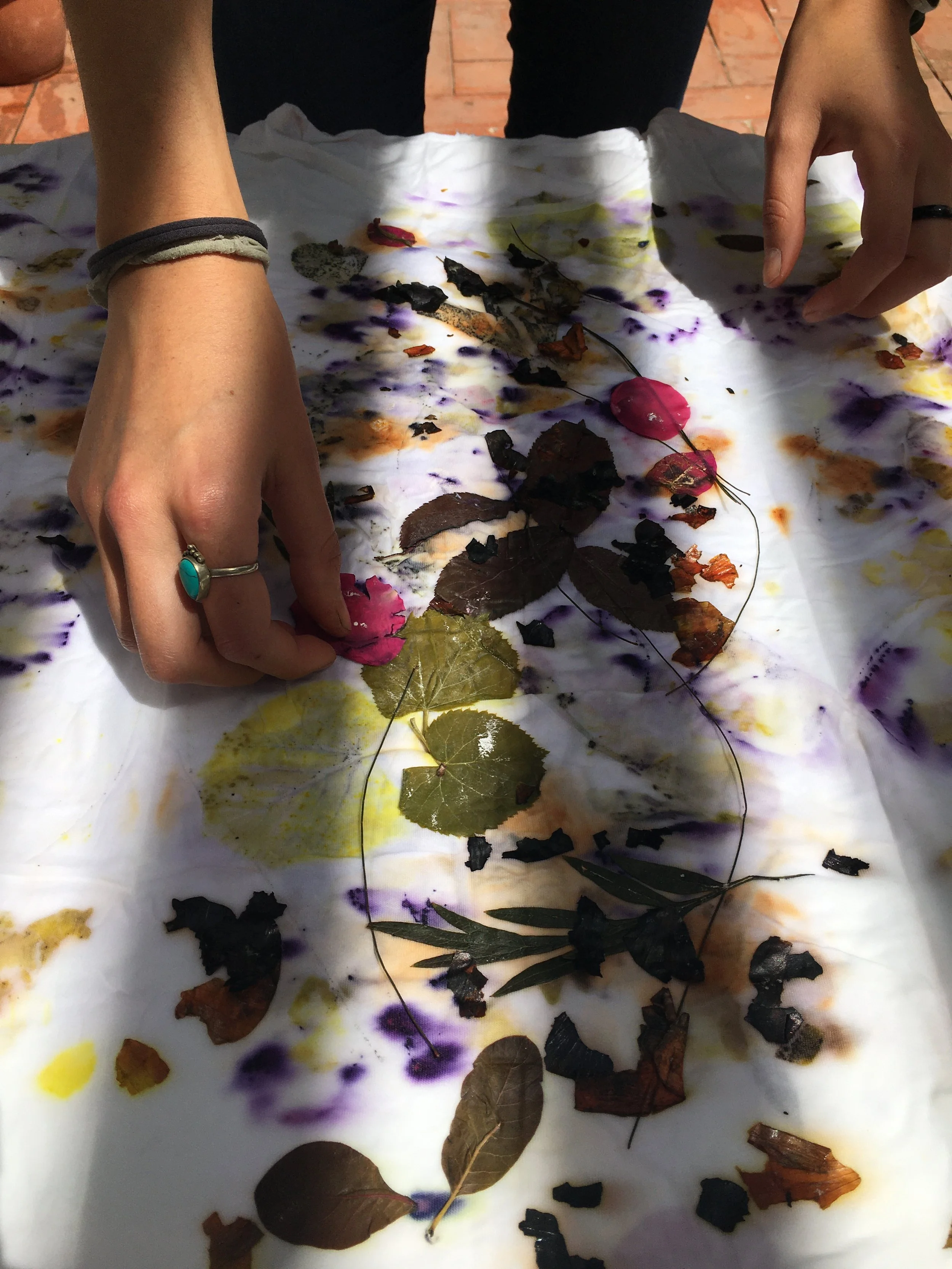 Ecoprint 006 Mardeolas.JPG