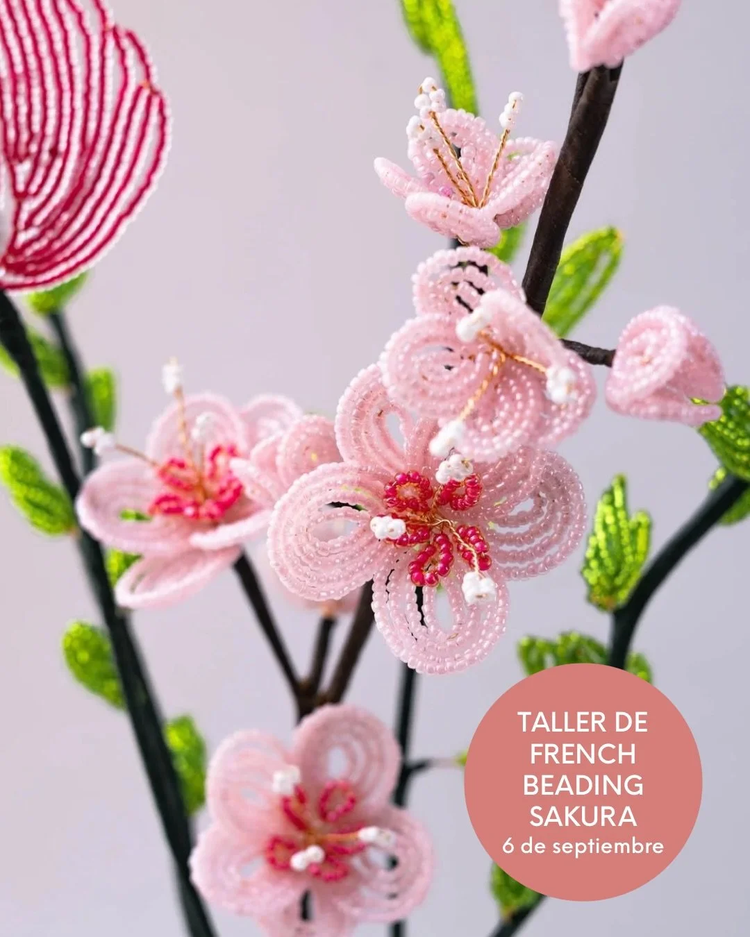 La flor de sakura es un s&iacute;mbolo de belleza, calma y renovaci&oacute;n. En este taller aprender&aacute;s a transformar peque&ntilde;as cuentas en una elegante rama de cerezo en flor, creando tu propia pieza paso a paso. 🌸

Una experiencia crea
