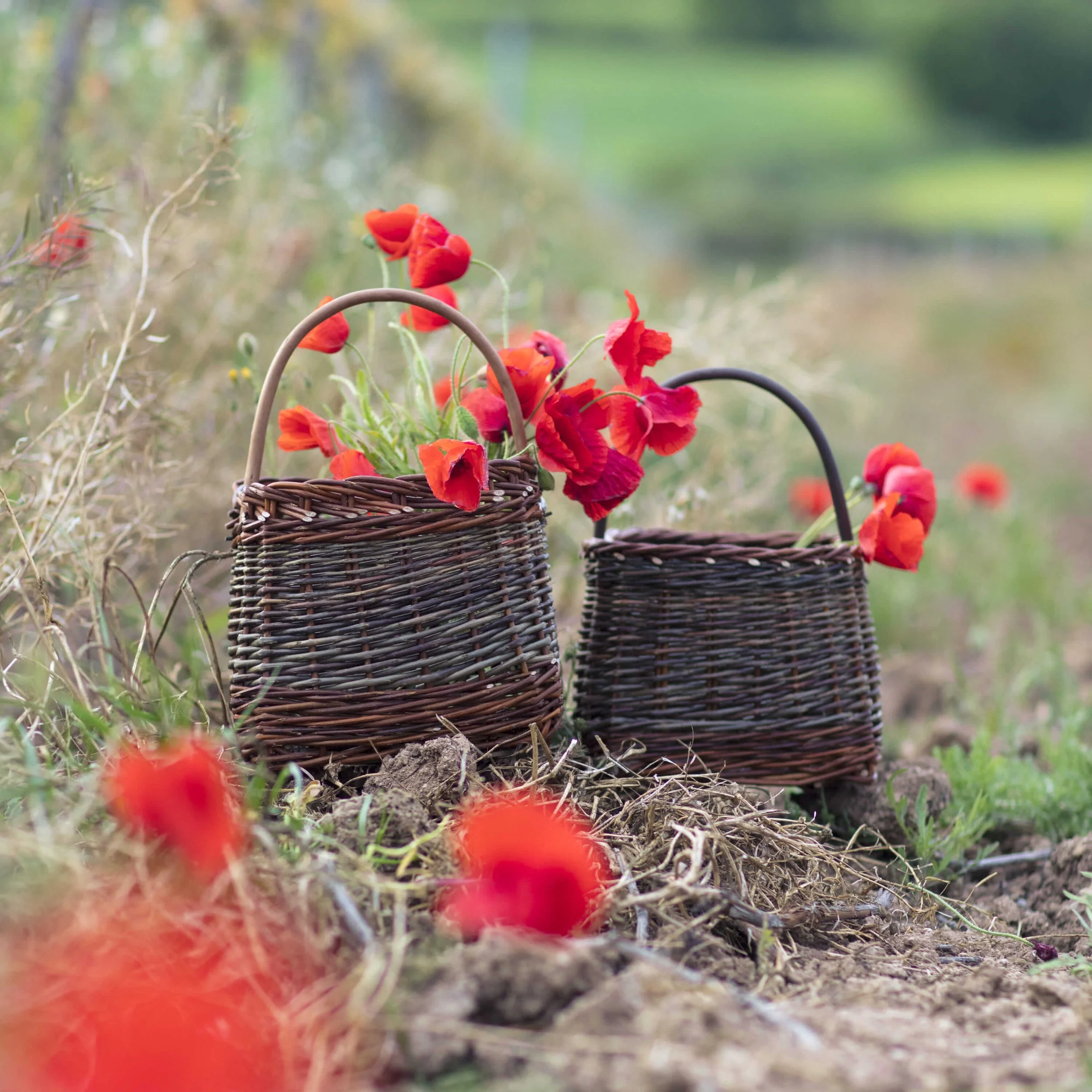 20250502-819A1581 - 3.jpg