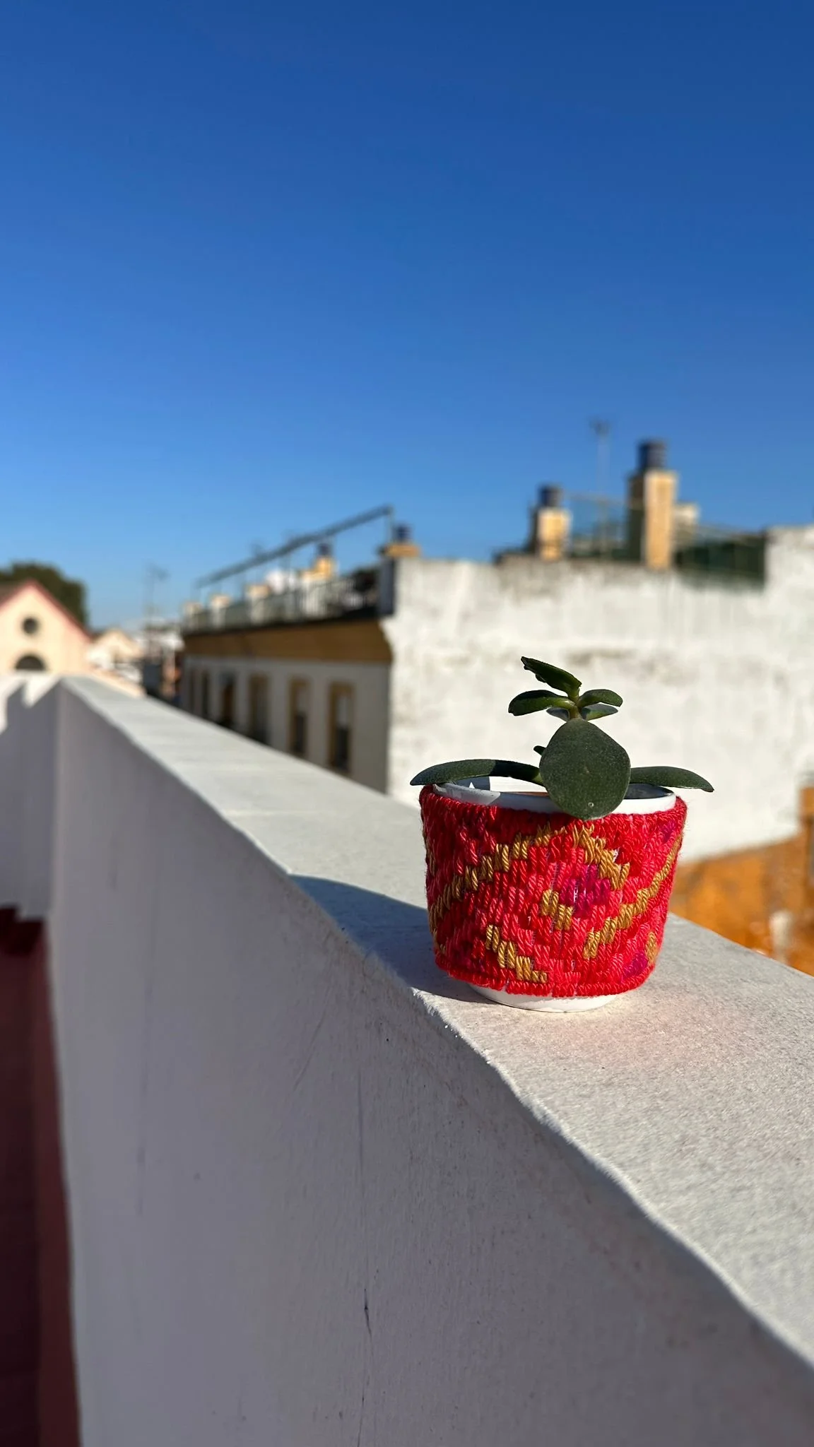 WhatsApp Image 2026-03-01 at 20.58.35 (2).jpeg