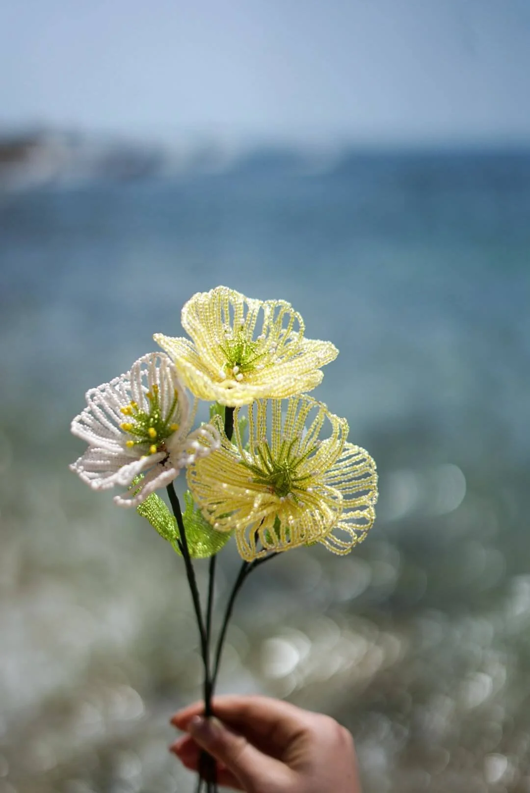 florcuentasamapola.jpeg