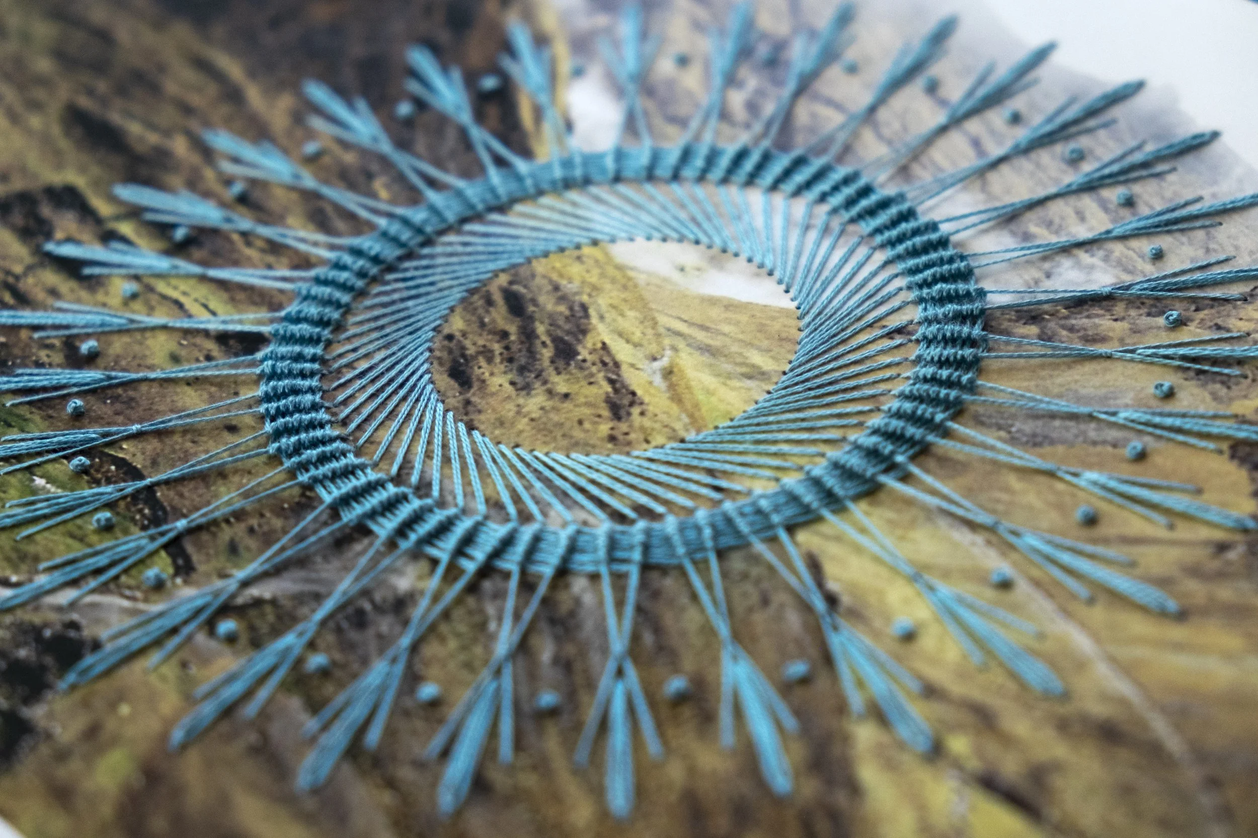 From the altiplano to the yungas_Mayra Biajante_detail.jpg