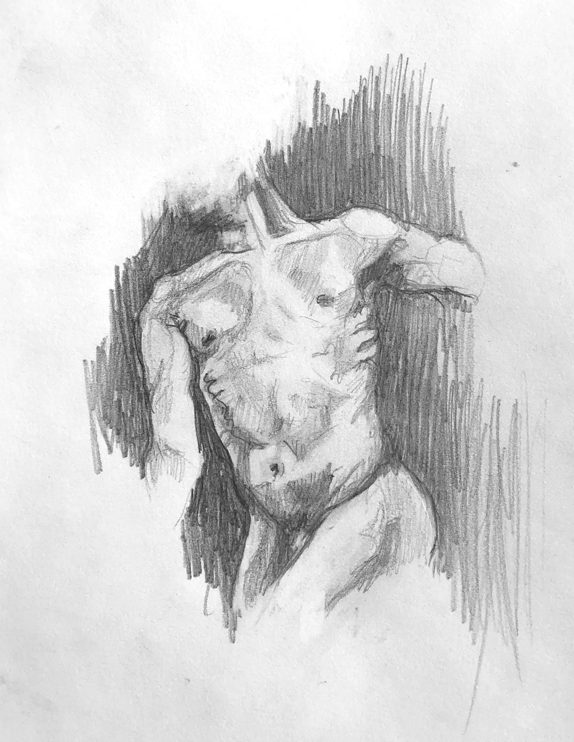 Torso Study