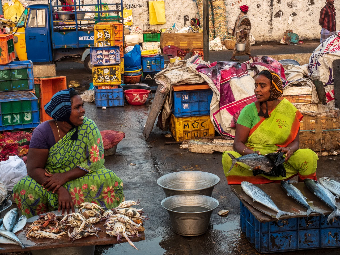 Visiting and selling fish at Chennai’s Kasimedu fishing harbor
