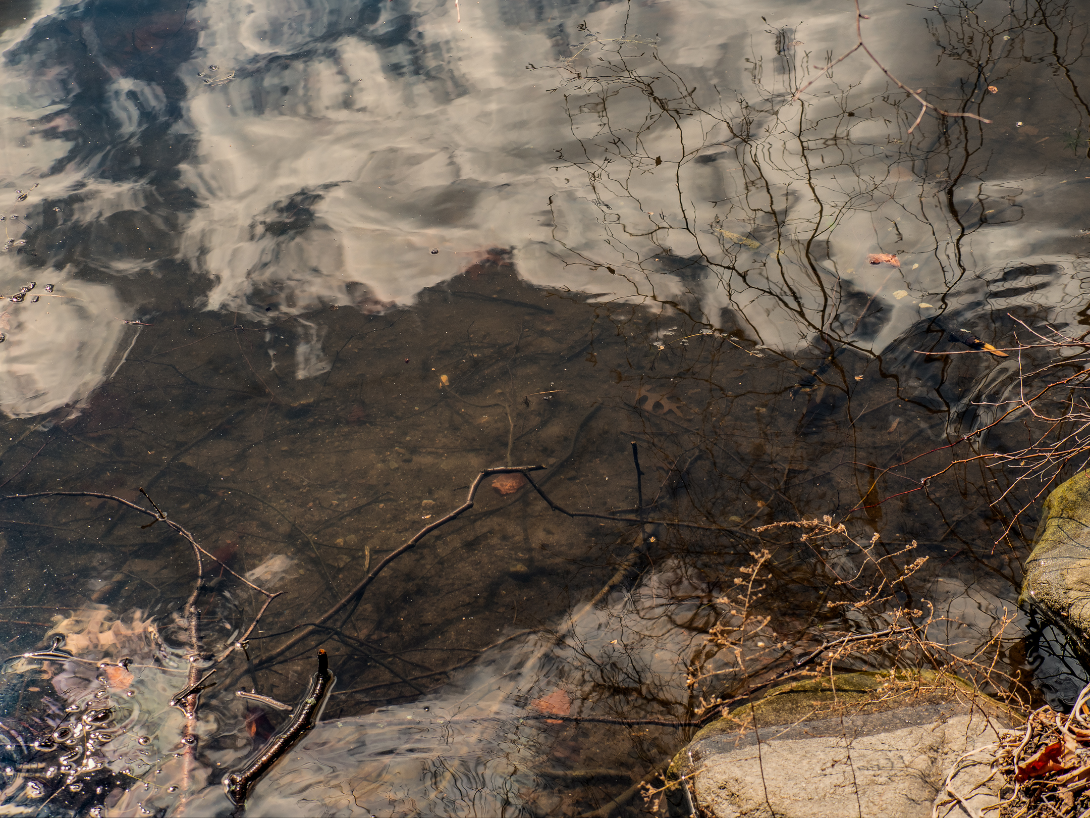 P3190136-Edit.jpg