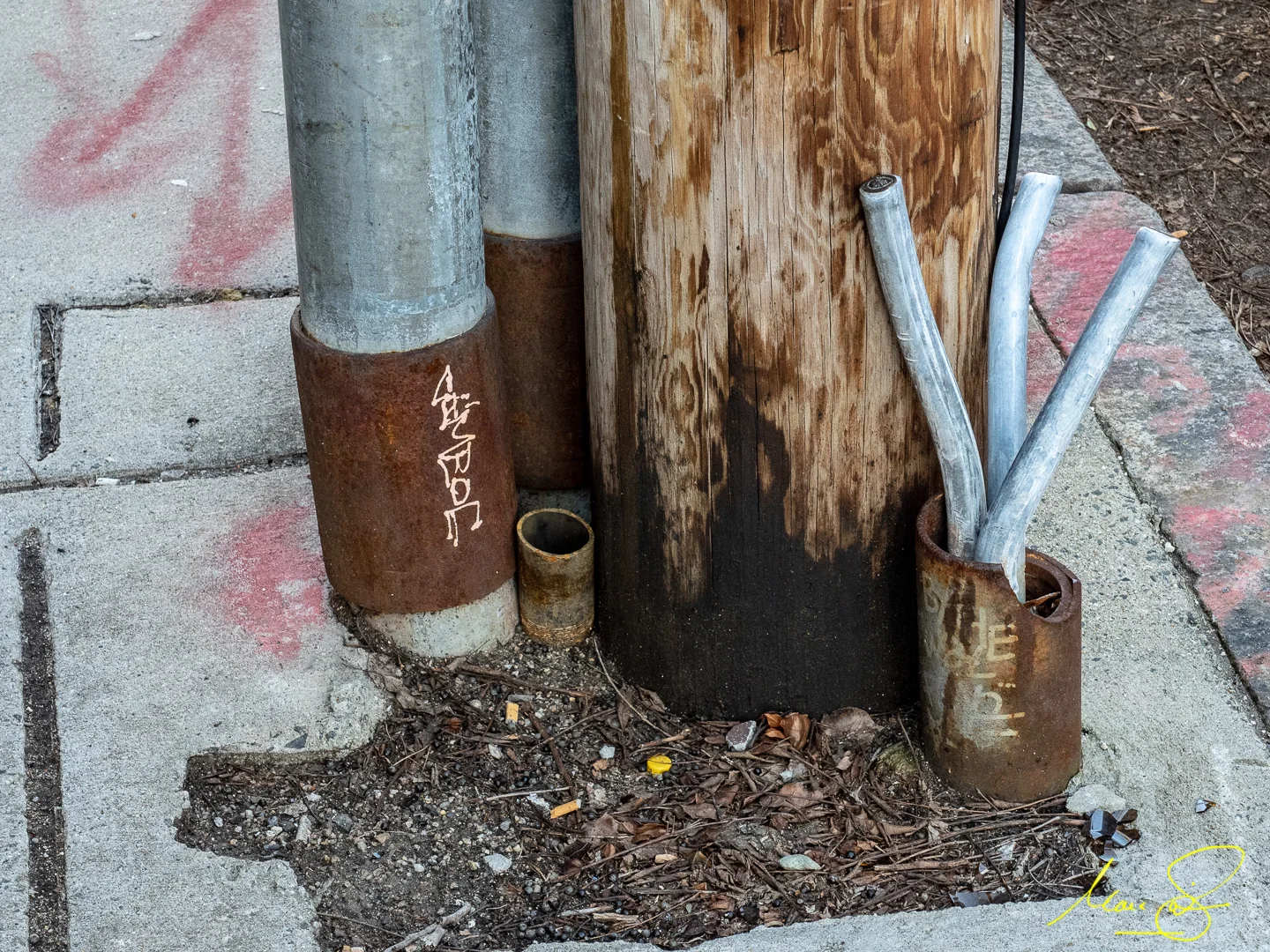 P3260242.jpg