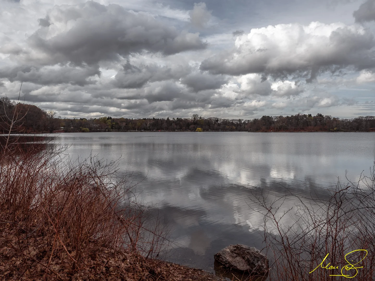 P4210548-Edit.jpg
