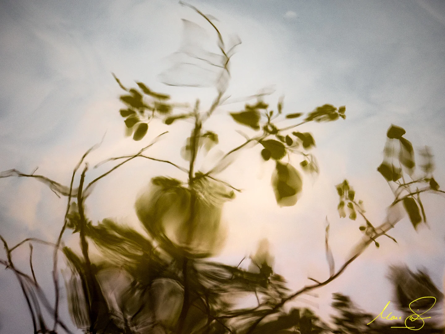 P5270945-Edit.jpg