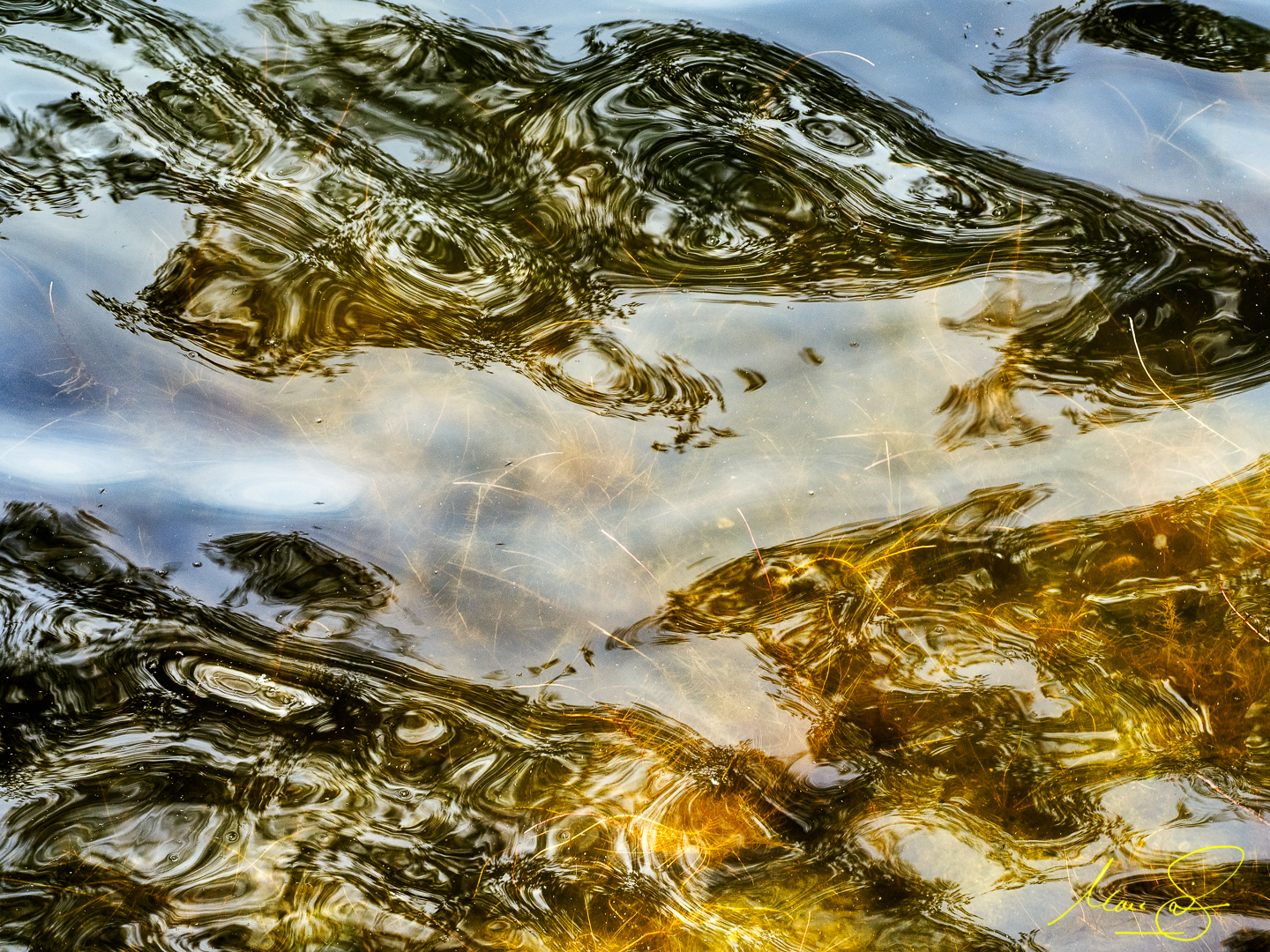 P6051032-Edit.jpg