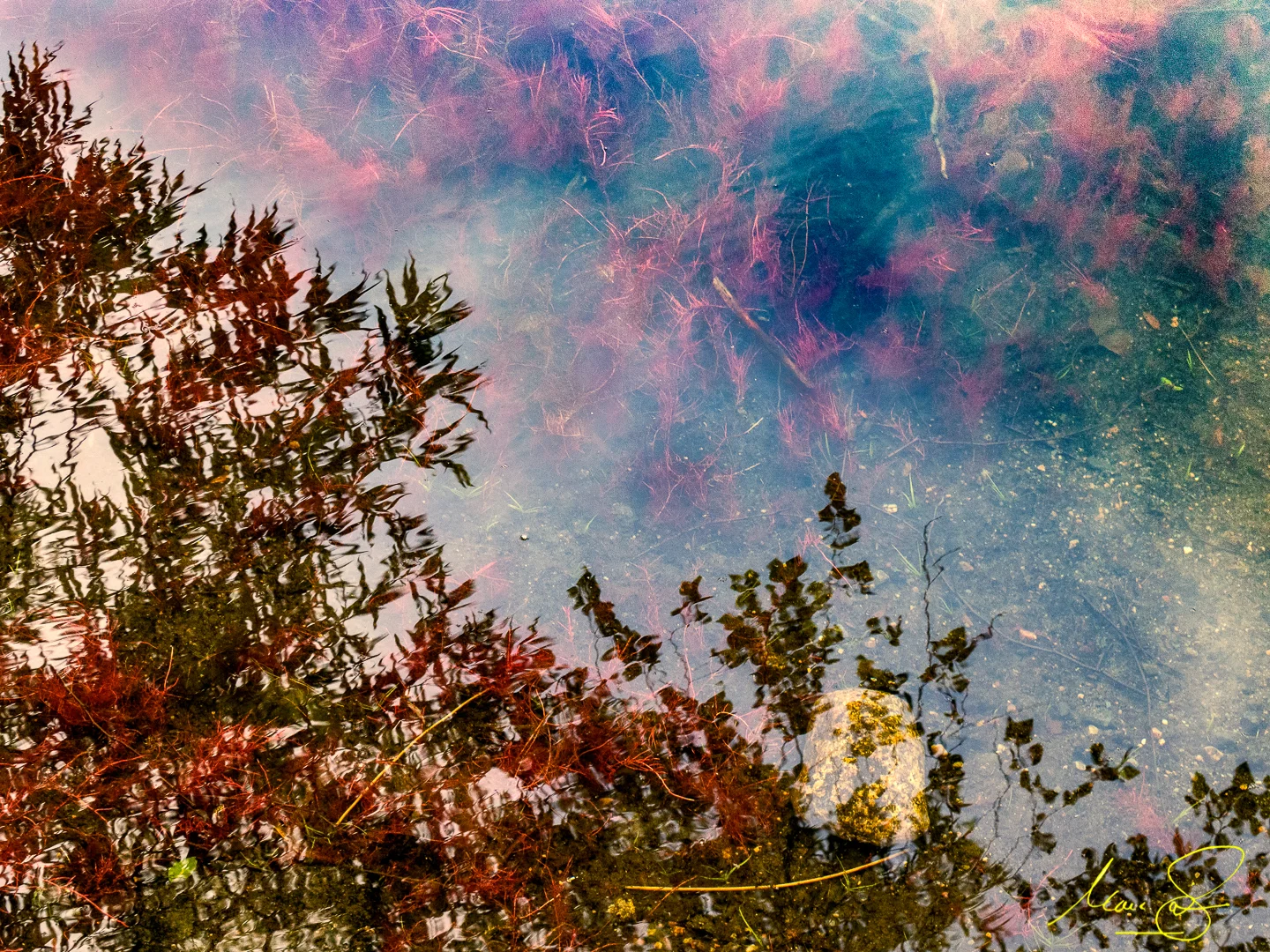 P6271375-Edit.jpg