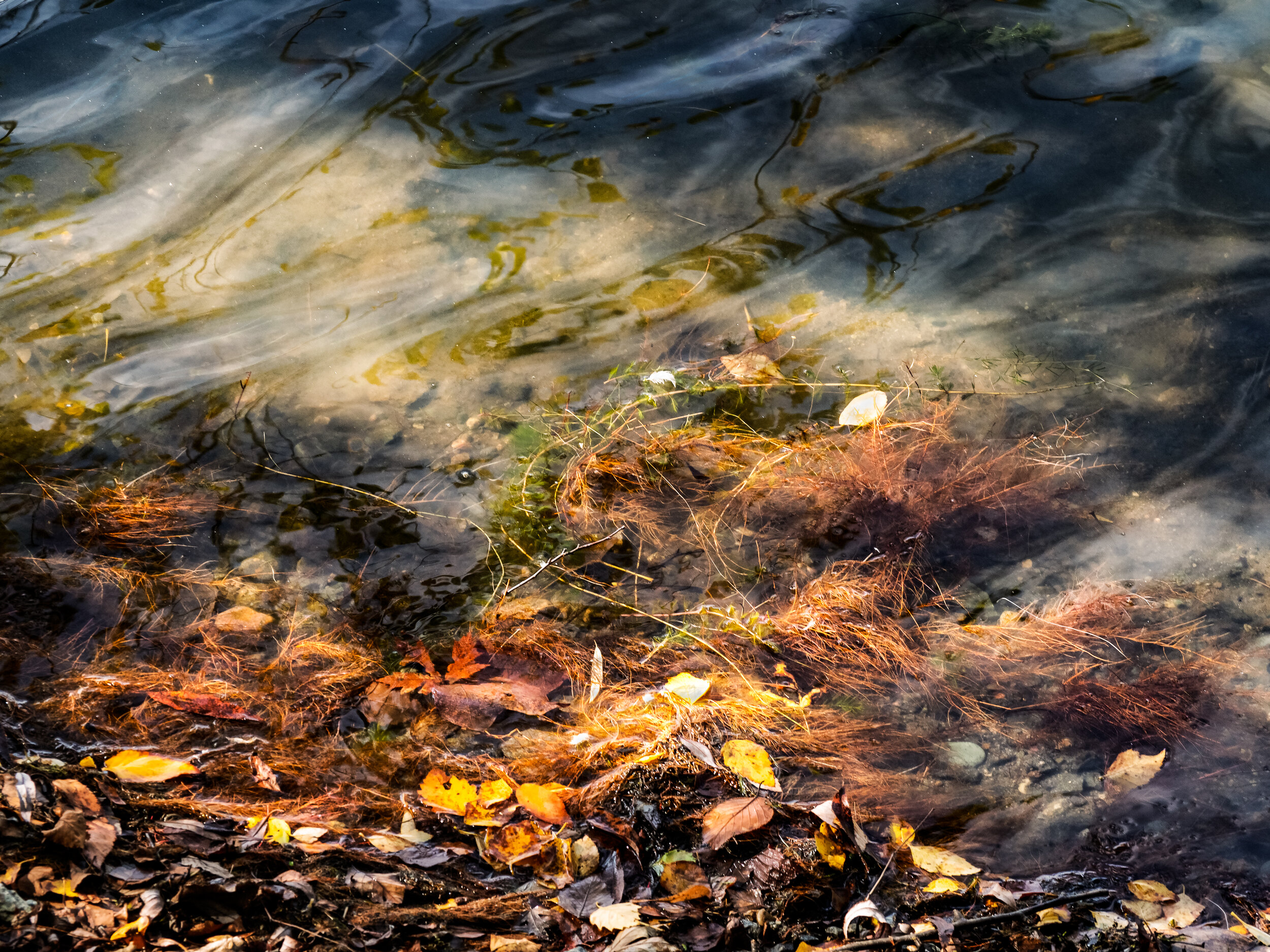 Water, Rocks, Leaves