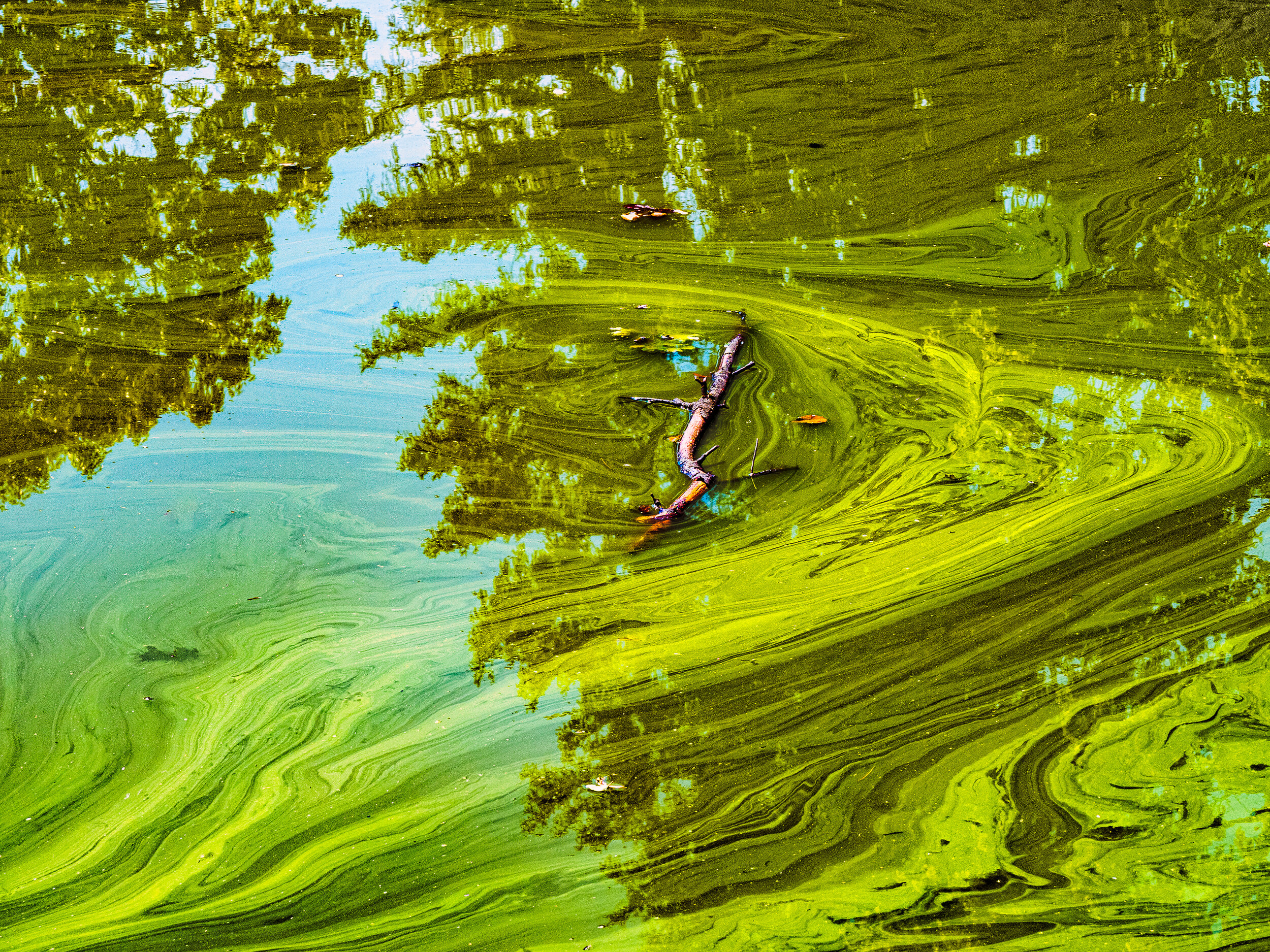 Patterns in Polluted Water #2